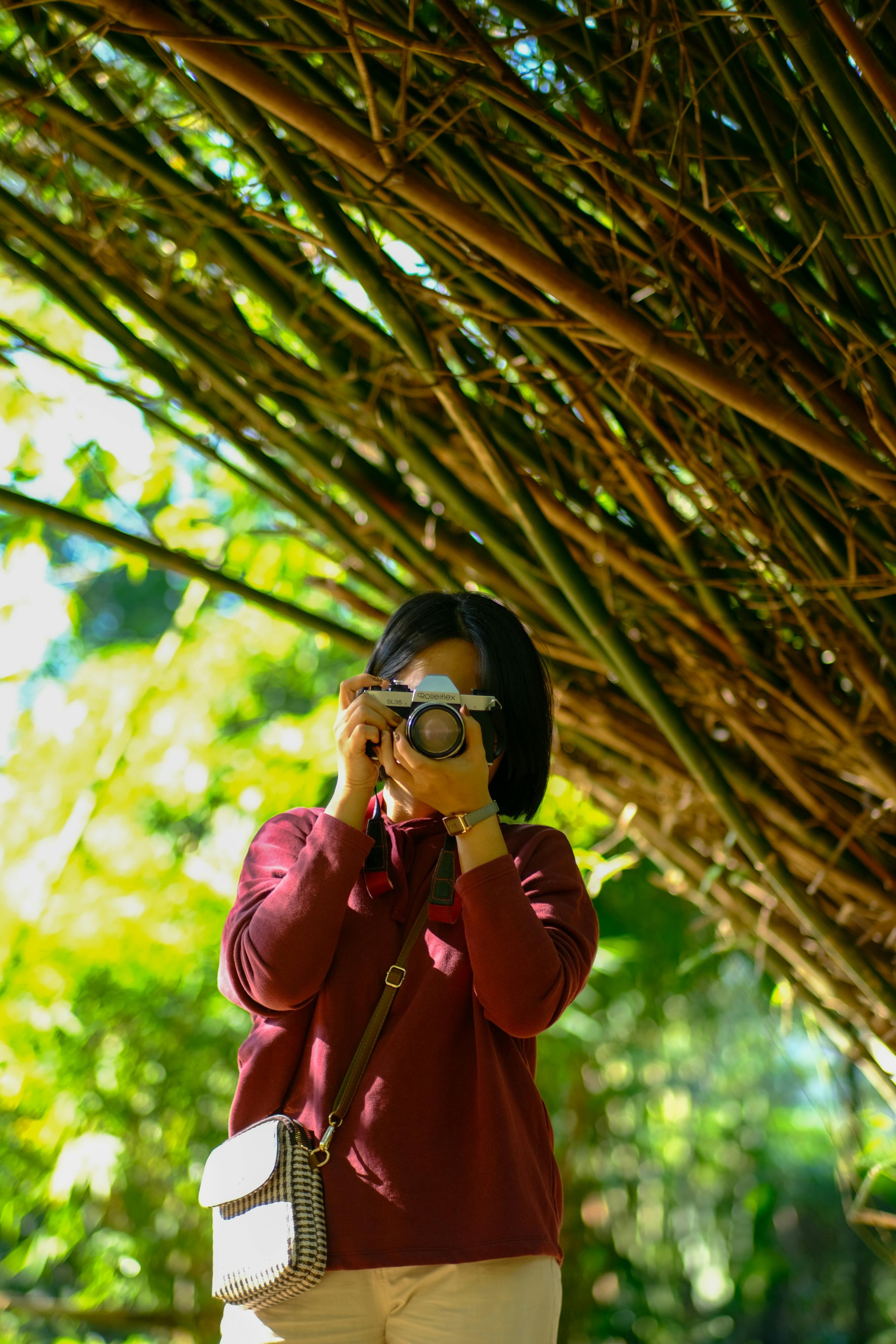 Gratuit Fotograf surprinzând o pădure vibrantă de bambus din Hue, Vietnam. Fotografie de stoc
