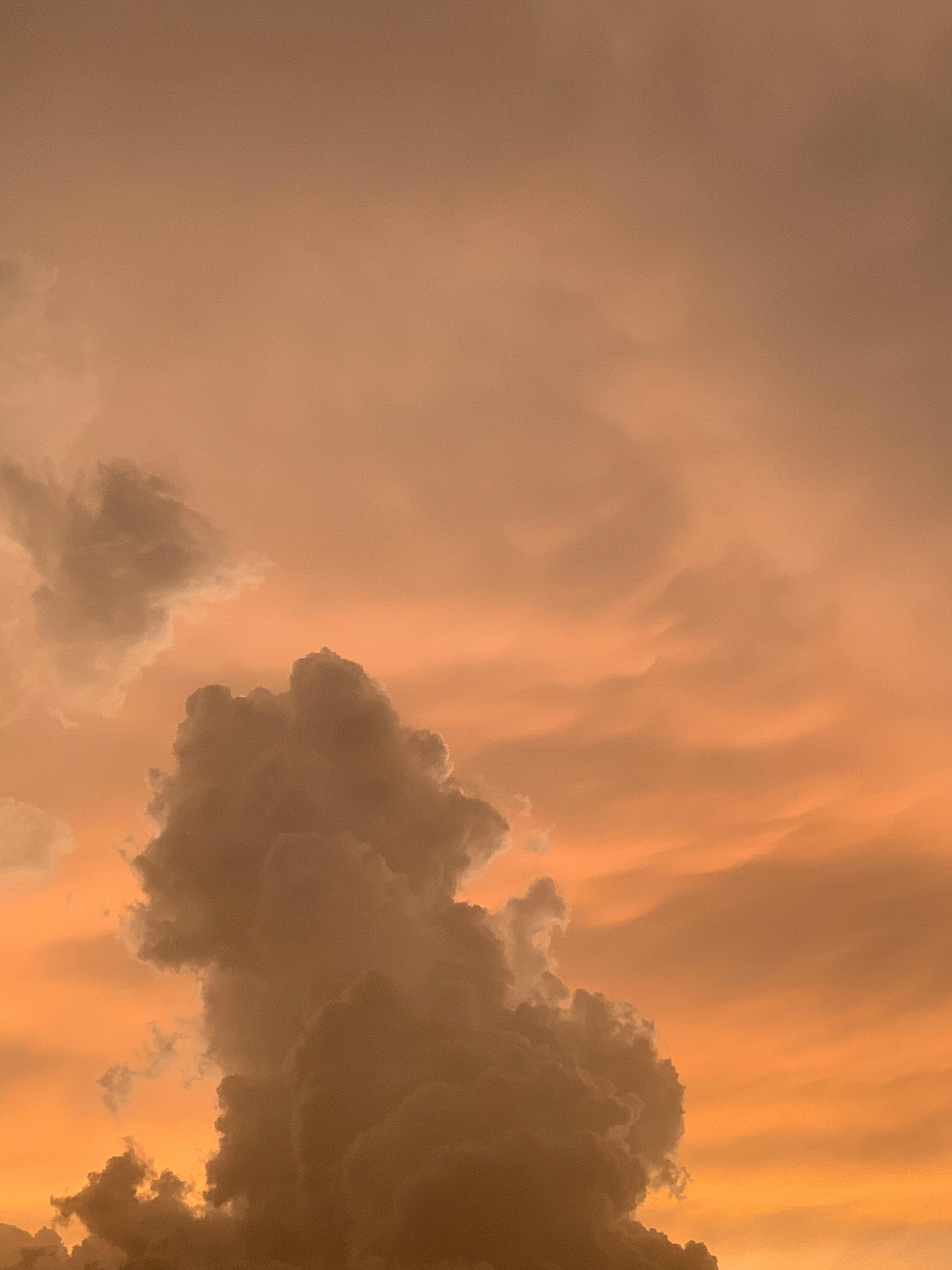 Bezpłatne Darmowe zdjęcie z galerii z abudża, afryka, atmosfera Zdjęcie z galerii