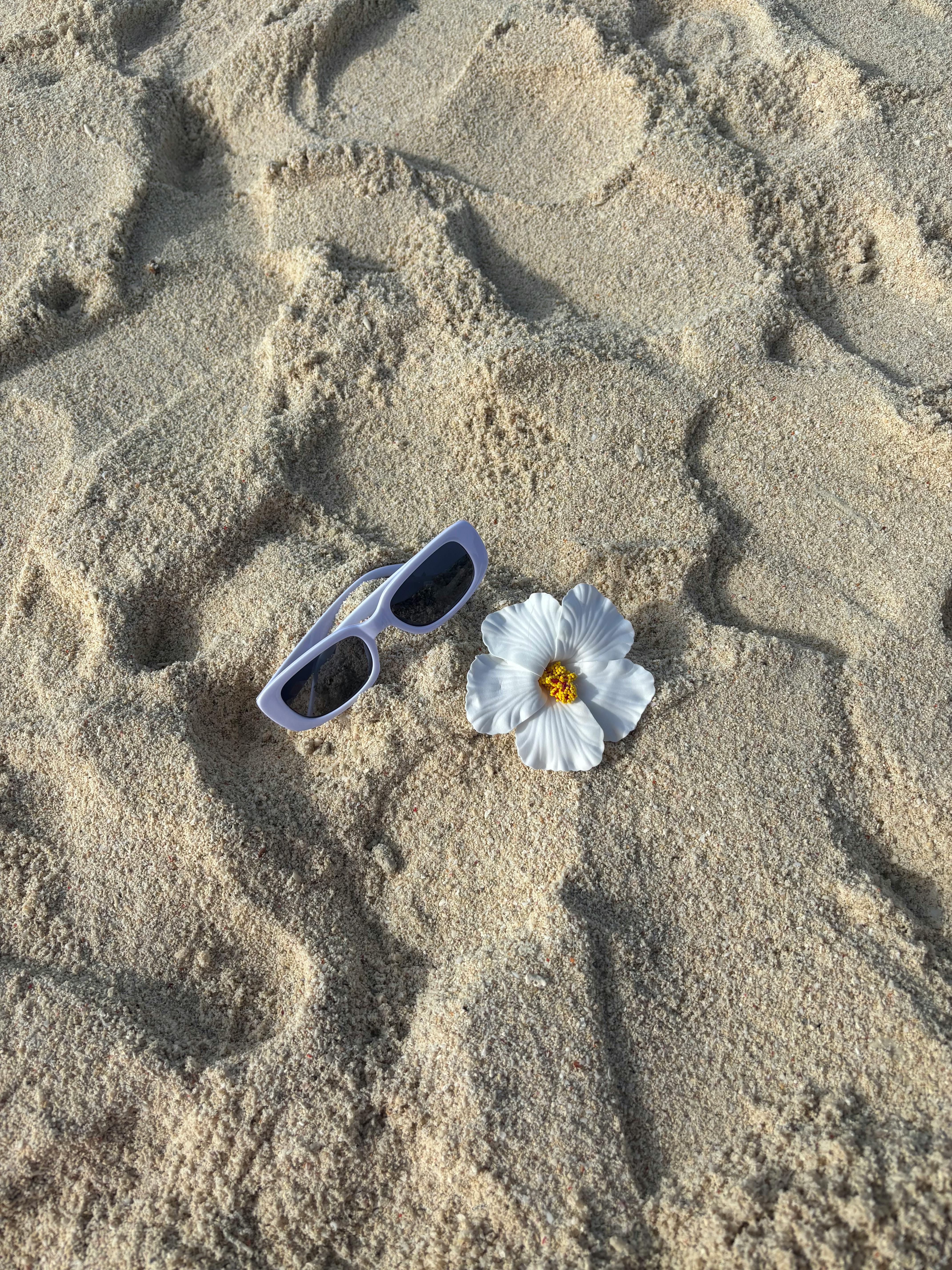Kostenlos Nahaufnahme einer weißen Gänseblümchen und einer Sonnenbrille im Sand, die sommerliche Stimmung vermittelt. Stock-Foto