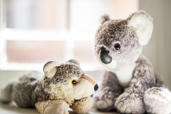 Two soft toys resting side by side — photo by Miguel Cuenca on Pexels