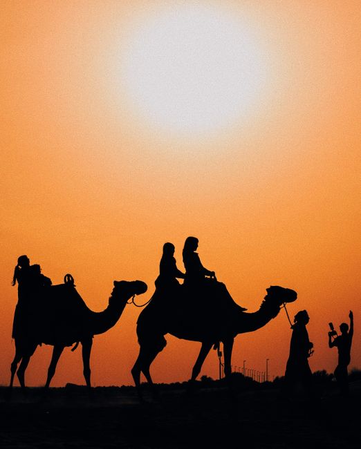 Silhouette of camels and riders captured against a stunning desert sunset.