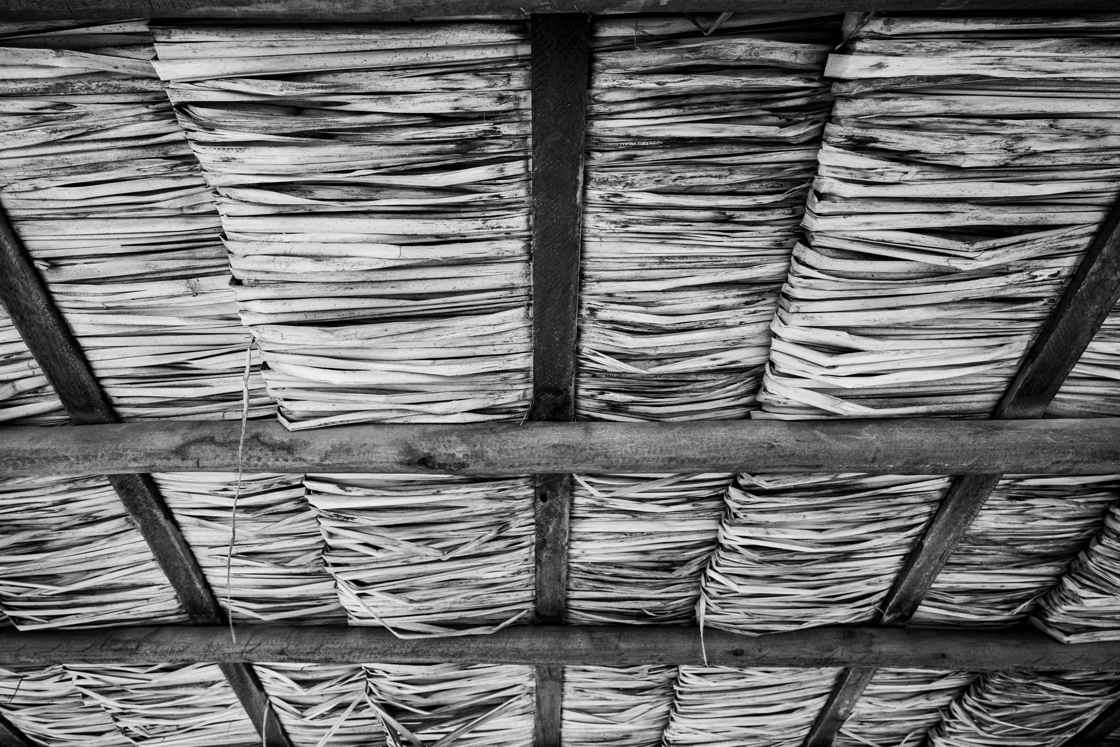 無料 ブラジルのナタールにある、素朴なヤシの葉葺き屋根の白黒写真。伝統的な建築様式が紹介されている。 写真素材