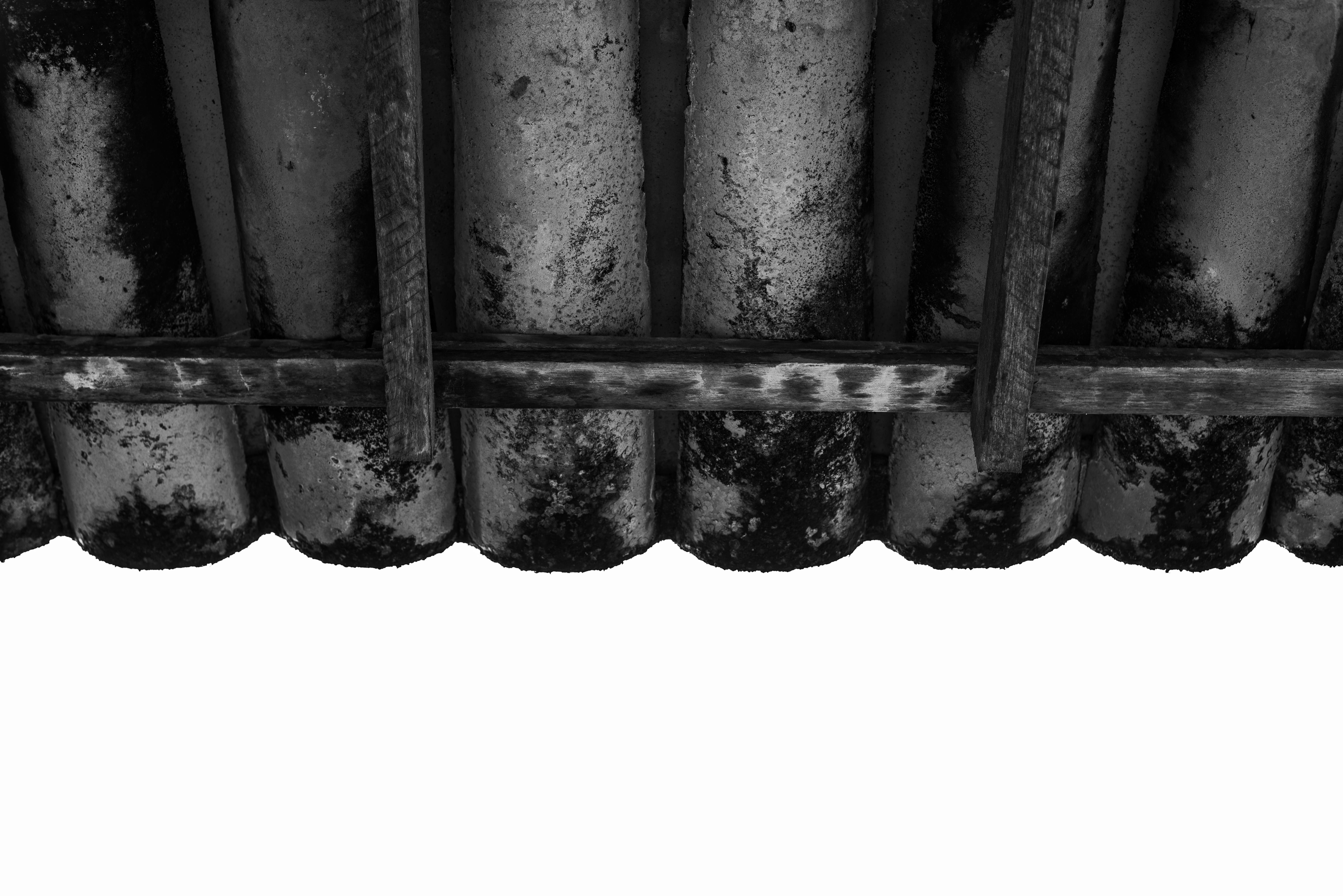 Gratis Immagine gratuita di architettura, architettura brasiliana, artistico Foto a disposizione