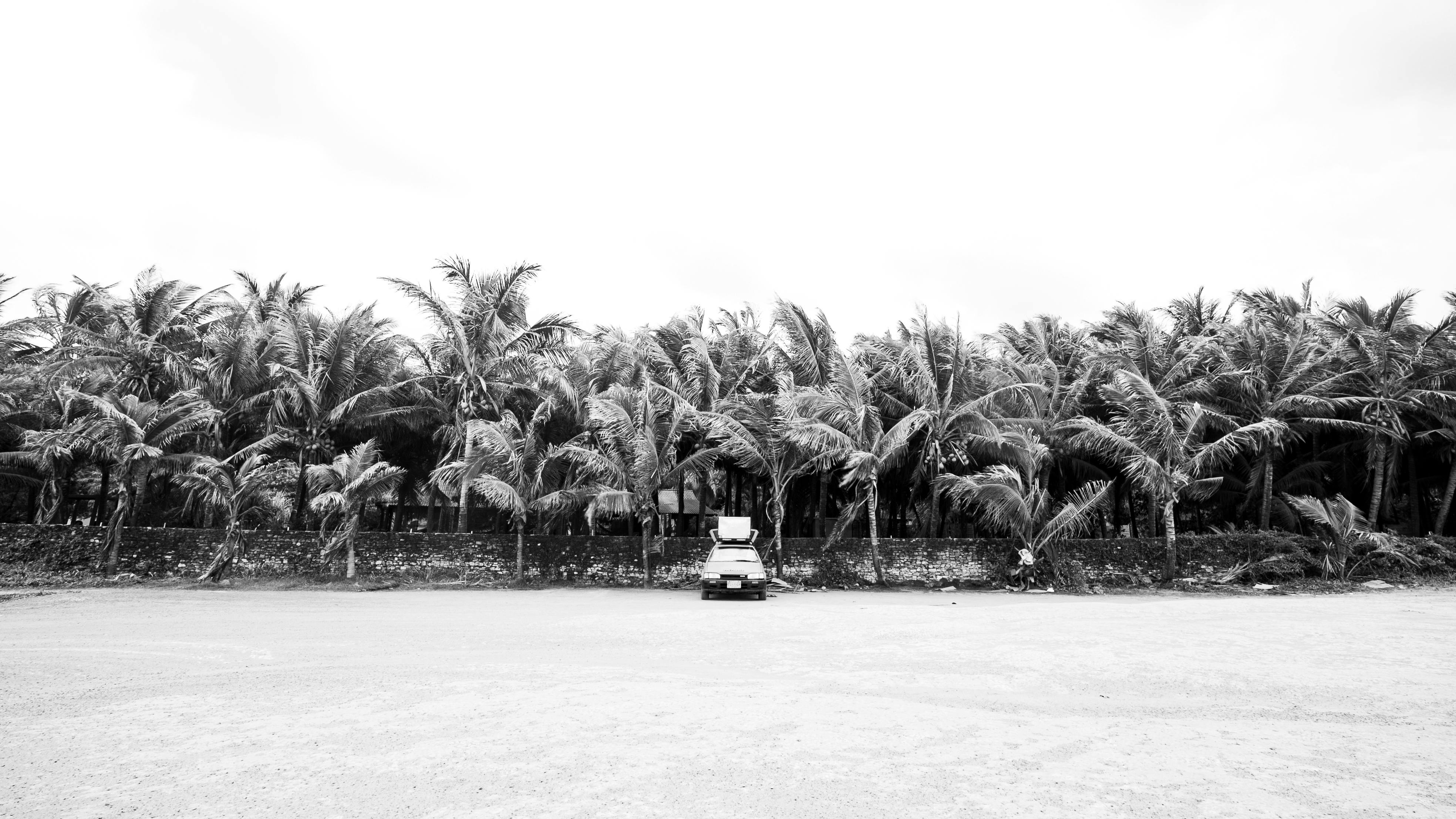 grátis Imagem em preto e branco de um carro estacionado em frente a palmeiras, Natal, Brasil. Foto profissional