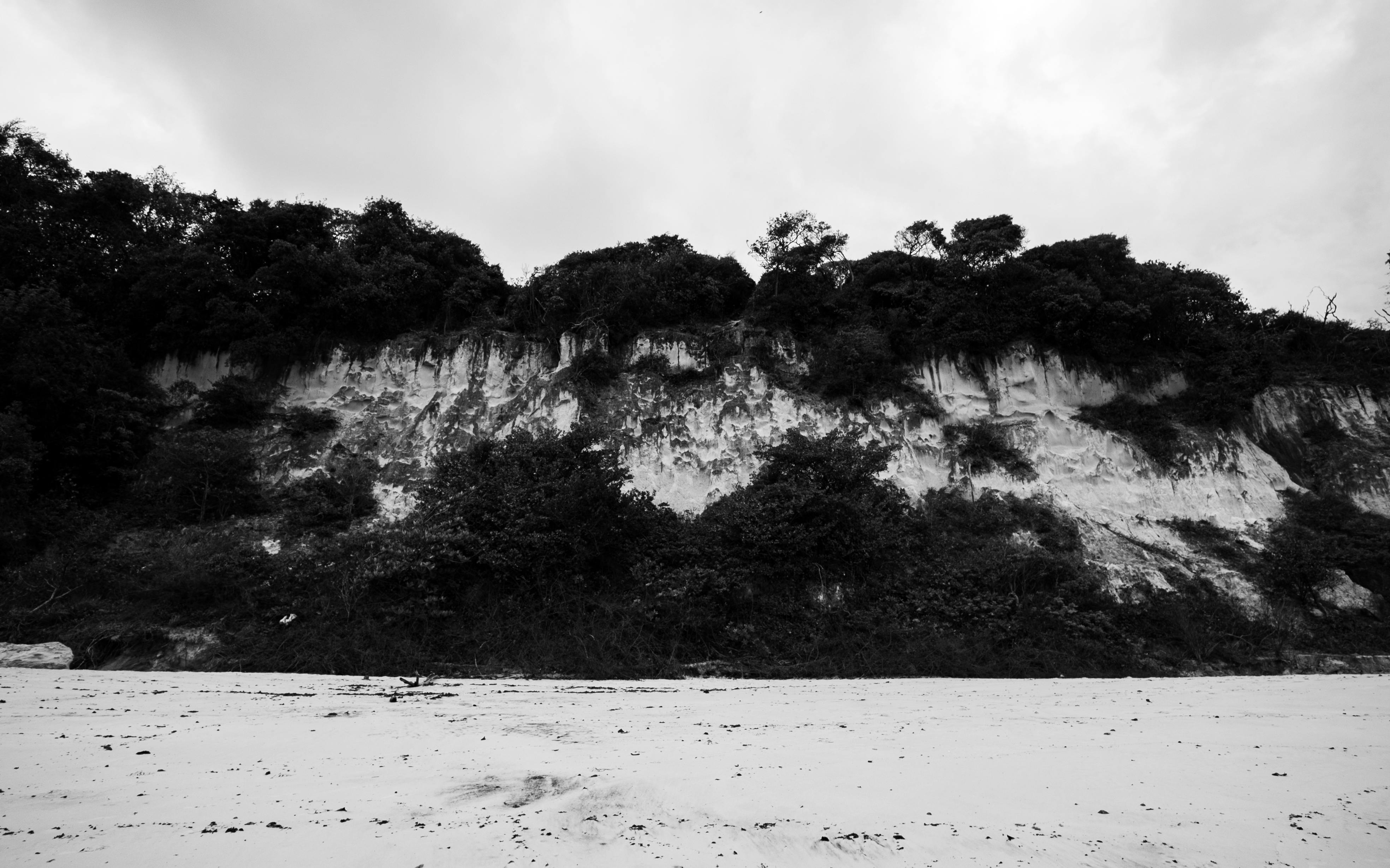 grátis Fotografia em preto e branco de falésias impressionantes no litoral de Natal, Brasil, destacando a beleza natural em seu estado bruto. Foto profissional