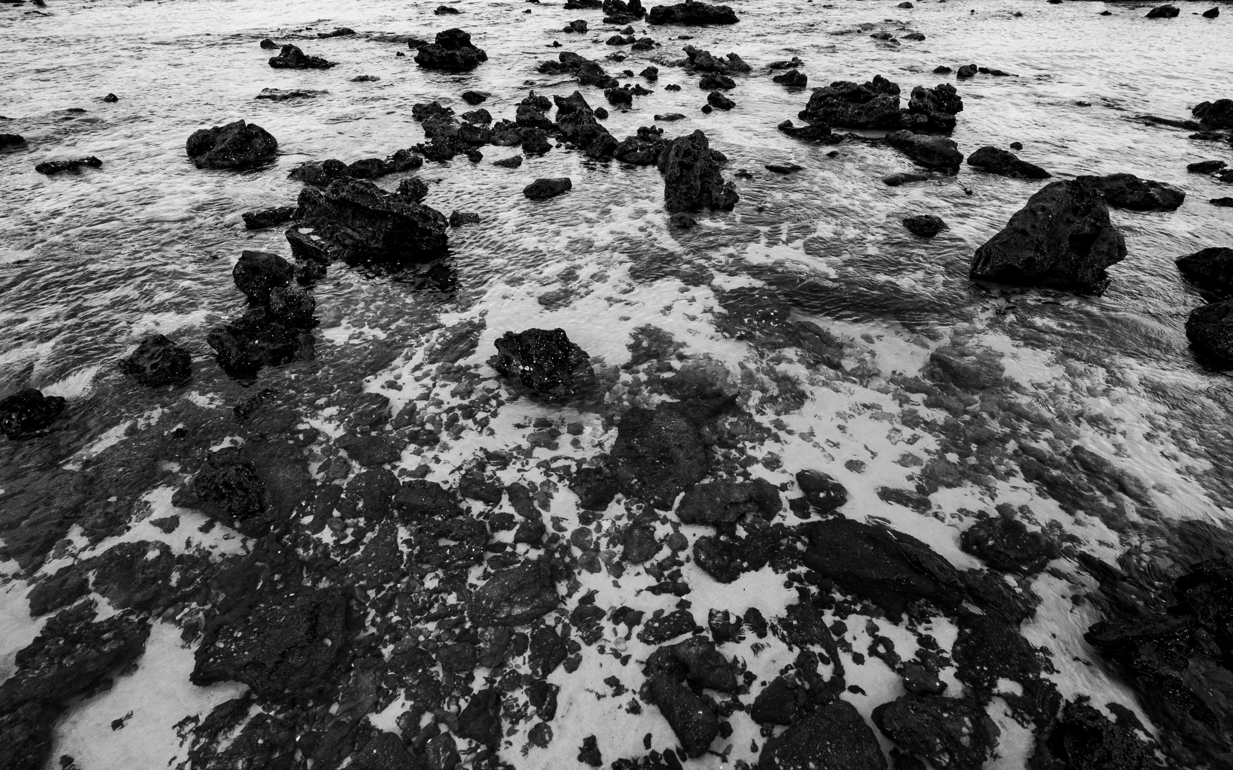 無料 ナタール地方の岩だらけの海岸線をモノクロで撮影した写真。自然の荒々しい美しさが際立っている。 写真素材