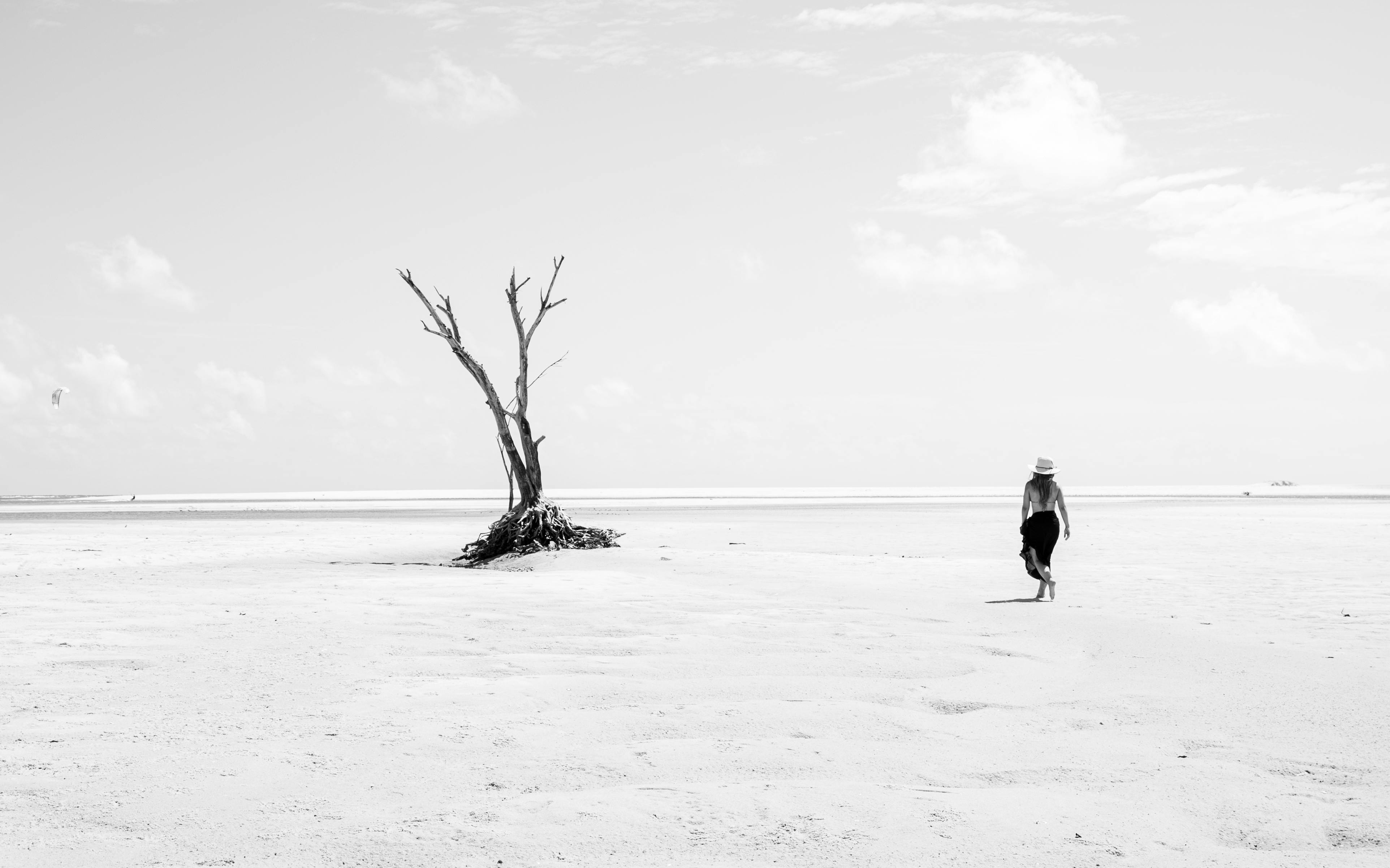 Δωρεάν Μια μοναχική γυναίκα περπατάει σε μια μεγάλη, αμμώδη παραλία με ένα δέντρο στο βάθος, στο Νατάλ της Βραζιλίας. Φωτογραφία από στοκ φωτογραφιών