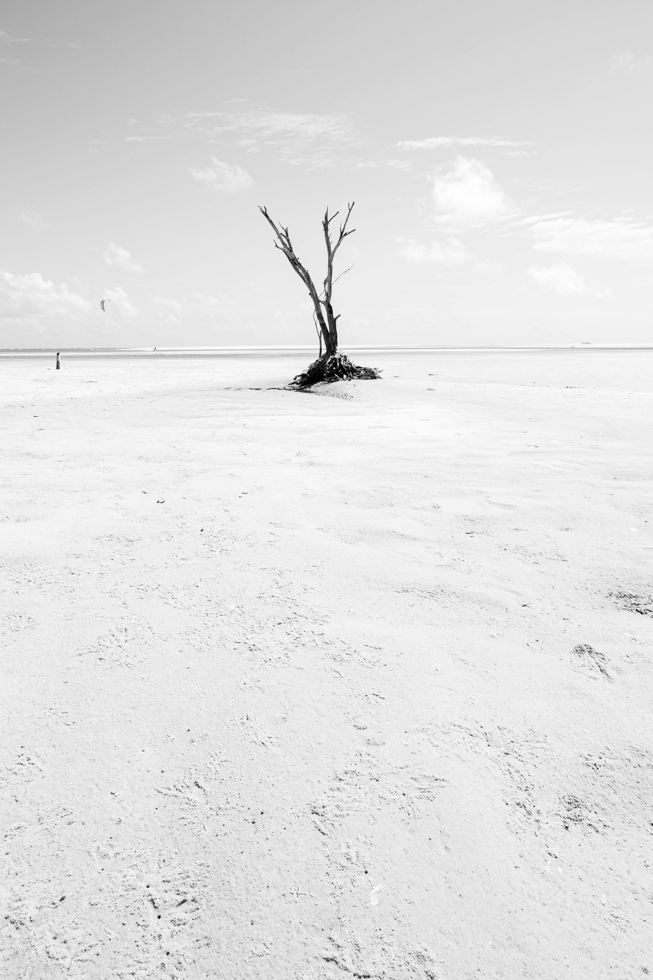 Gratis lagerfoto af åbent rum, atlanterhavet, brasiliansk strand Lagerfoto