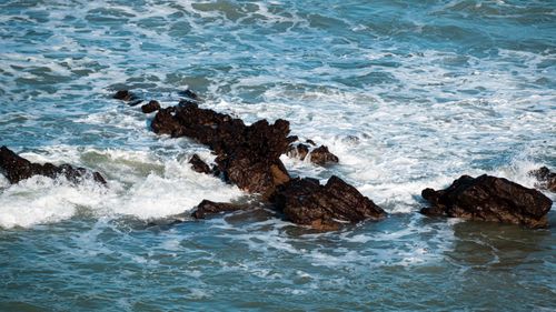 Free Waves crashing on rocky shores of Natal, showcasing the scenic Atlantic coast of Brazil. Stock Photo
