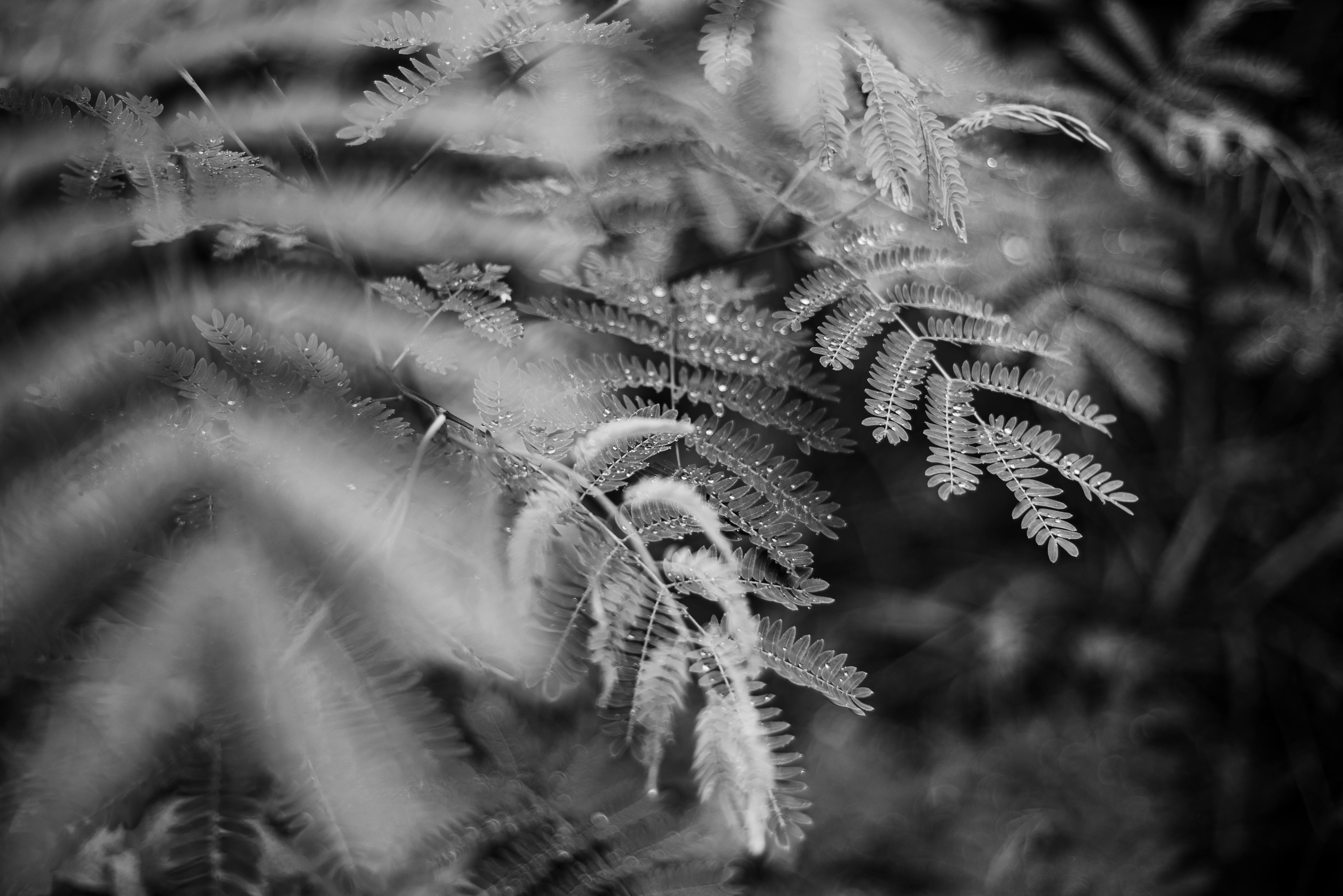 De franc Foto d'estoc gratuïta de a l'aire lliure, amb textura, artístic Foto d'estoc