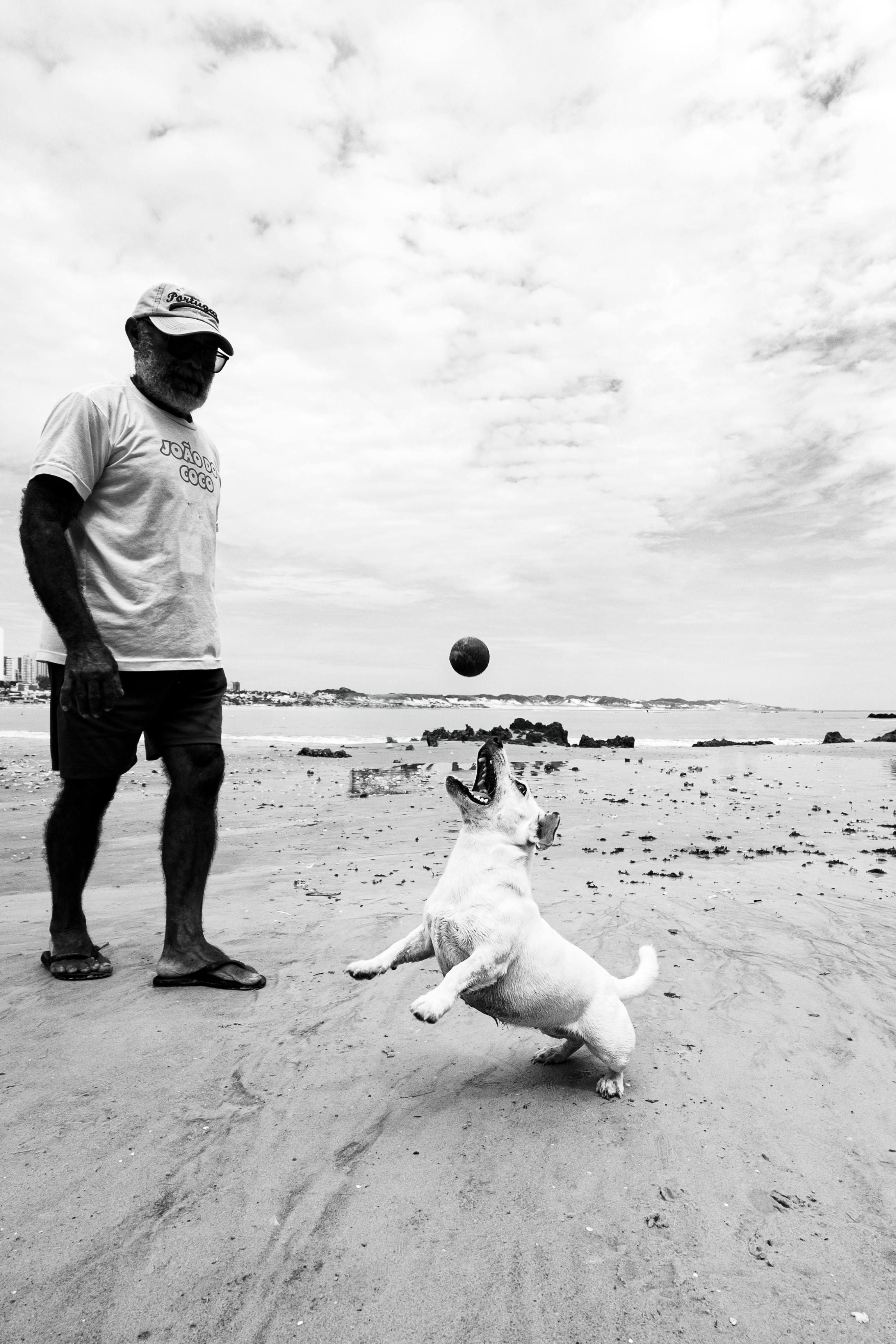 Ücretsiz Natal'ın kumlu plajında ​​bir adam ve köpeğinin top oynadığı anı gösteren siyah beyaz bir sahne. Stok Fotoğraflar