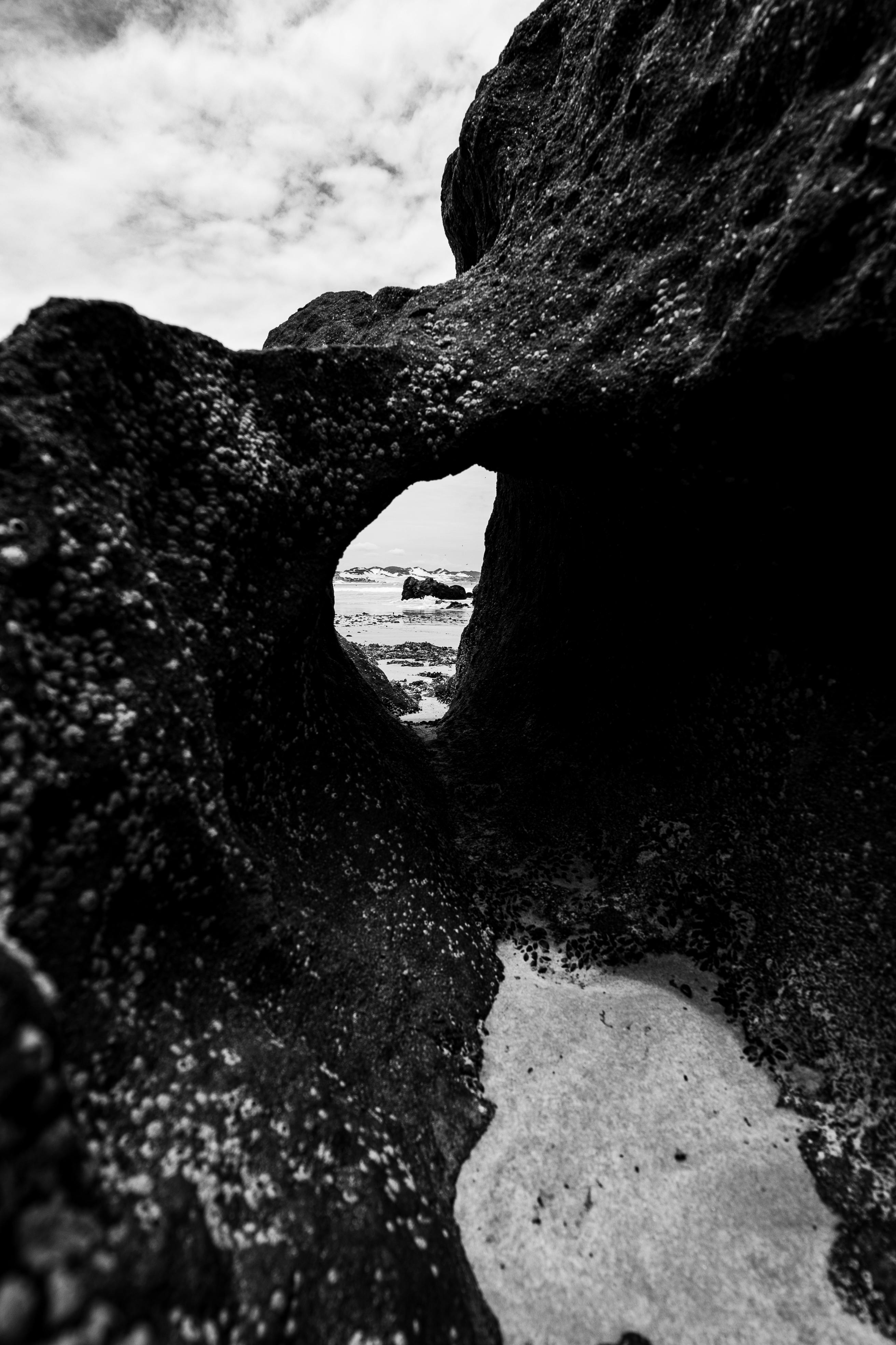 Gratuit Fotografie alb-negru a unei arcade de stâncă pe o plajă din Natal, Brazilia. Fotografie de stoc