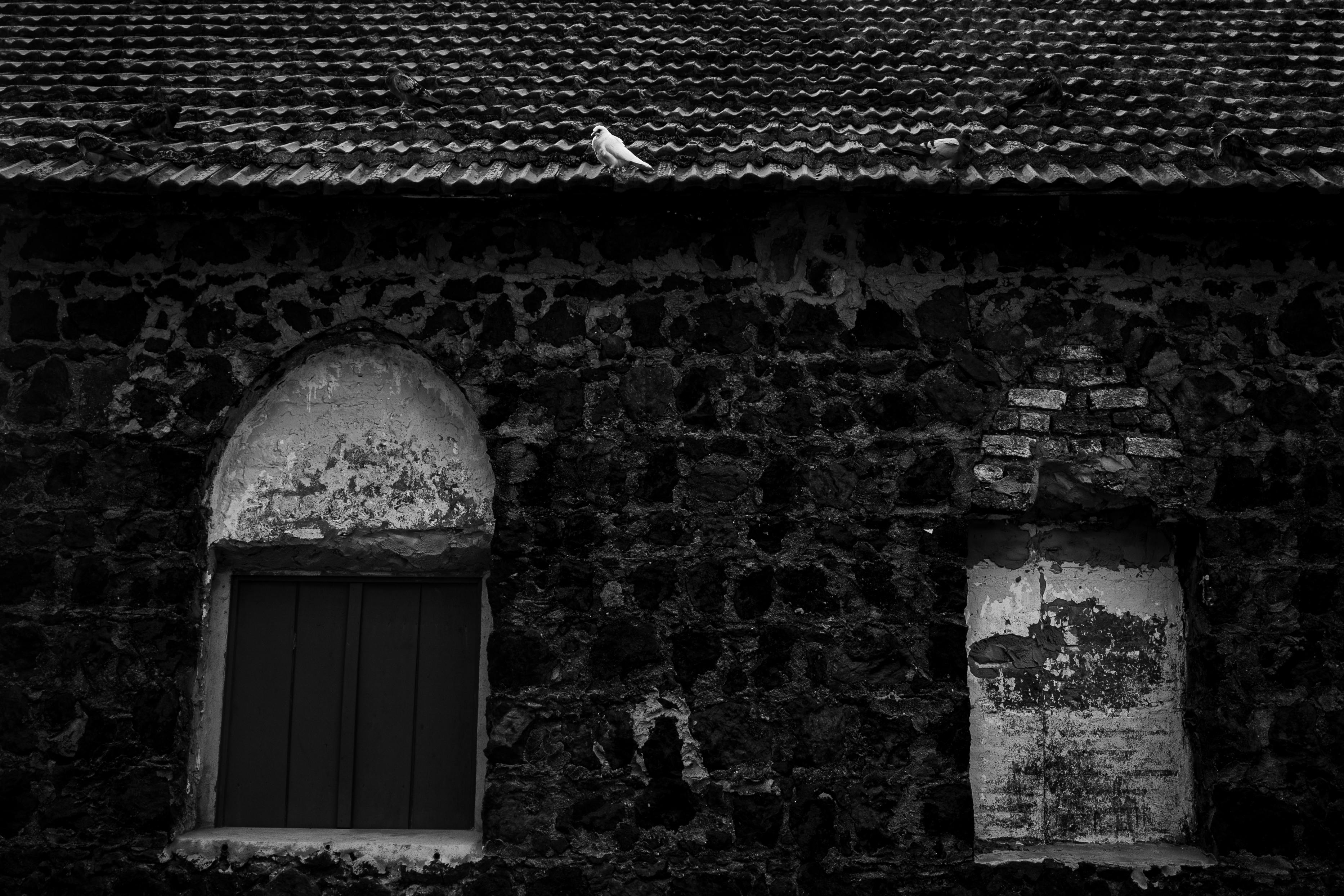 無料 ブラジルのナタールにある、屋根にハトが止まっている石壁の白黒写真。 写真素材