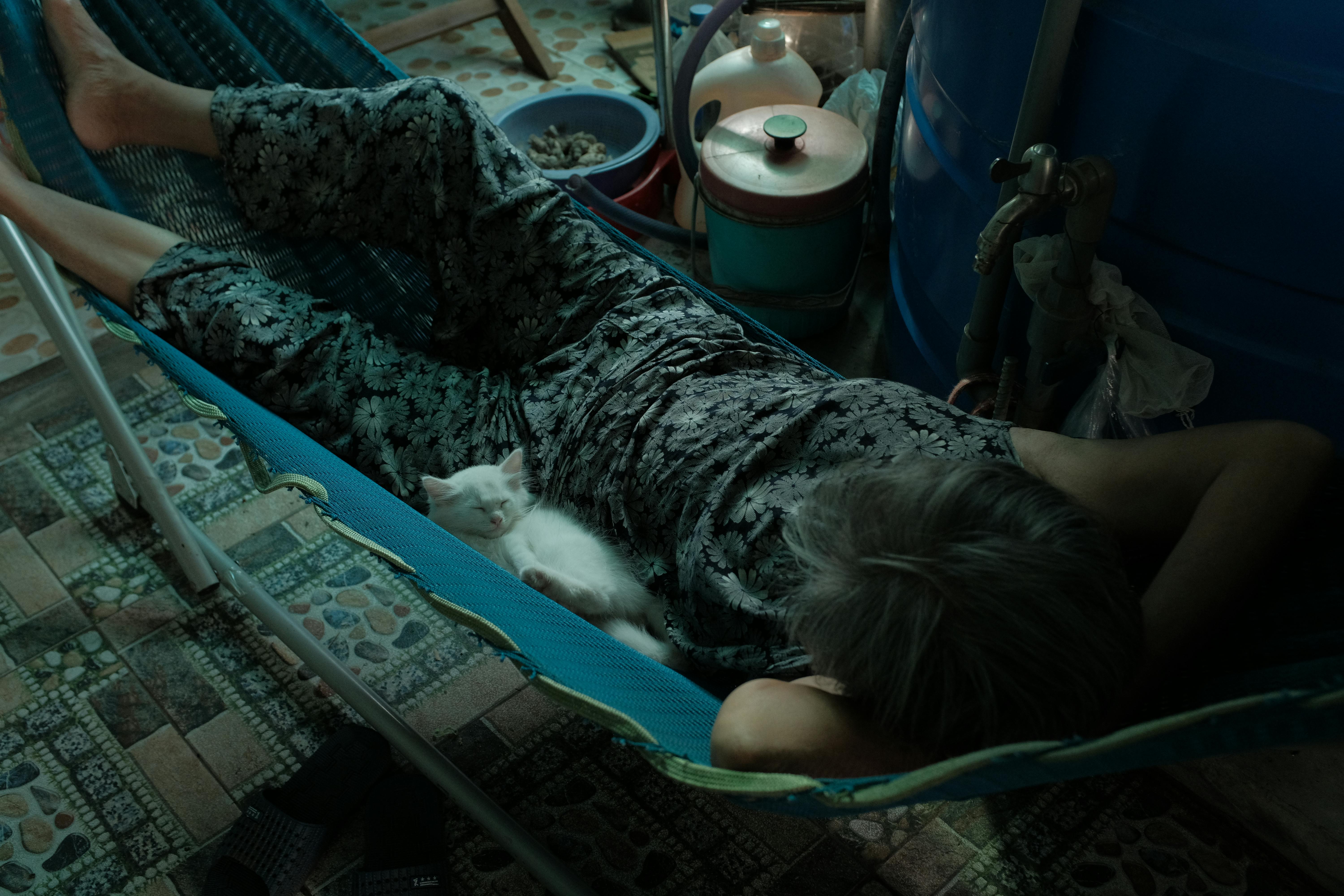 Gratis Anciano durmiendo con su gato en una hamaca de interior, Bến Tre, Vietnam. Foto de stock