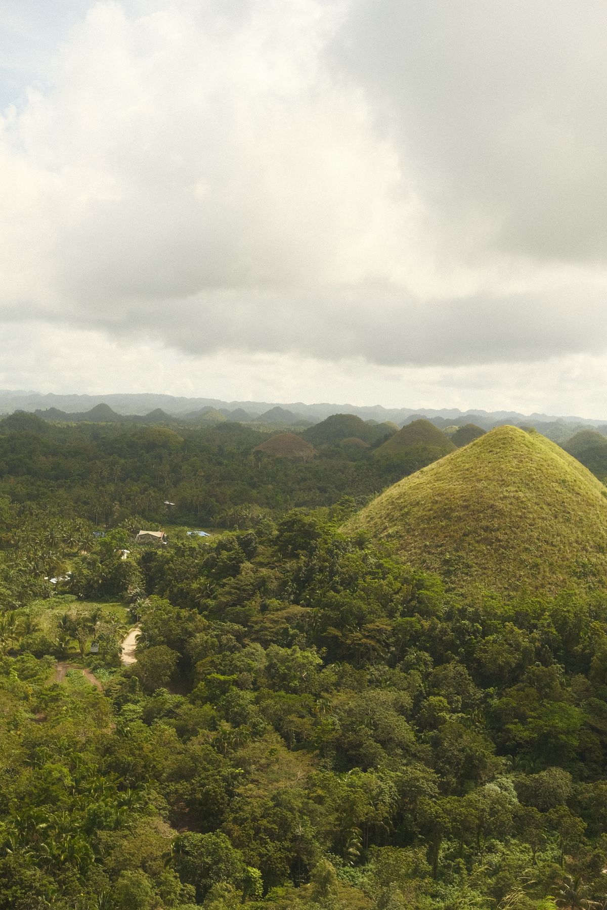 Bohol culture