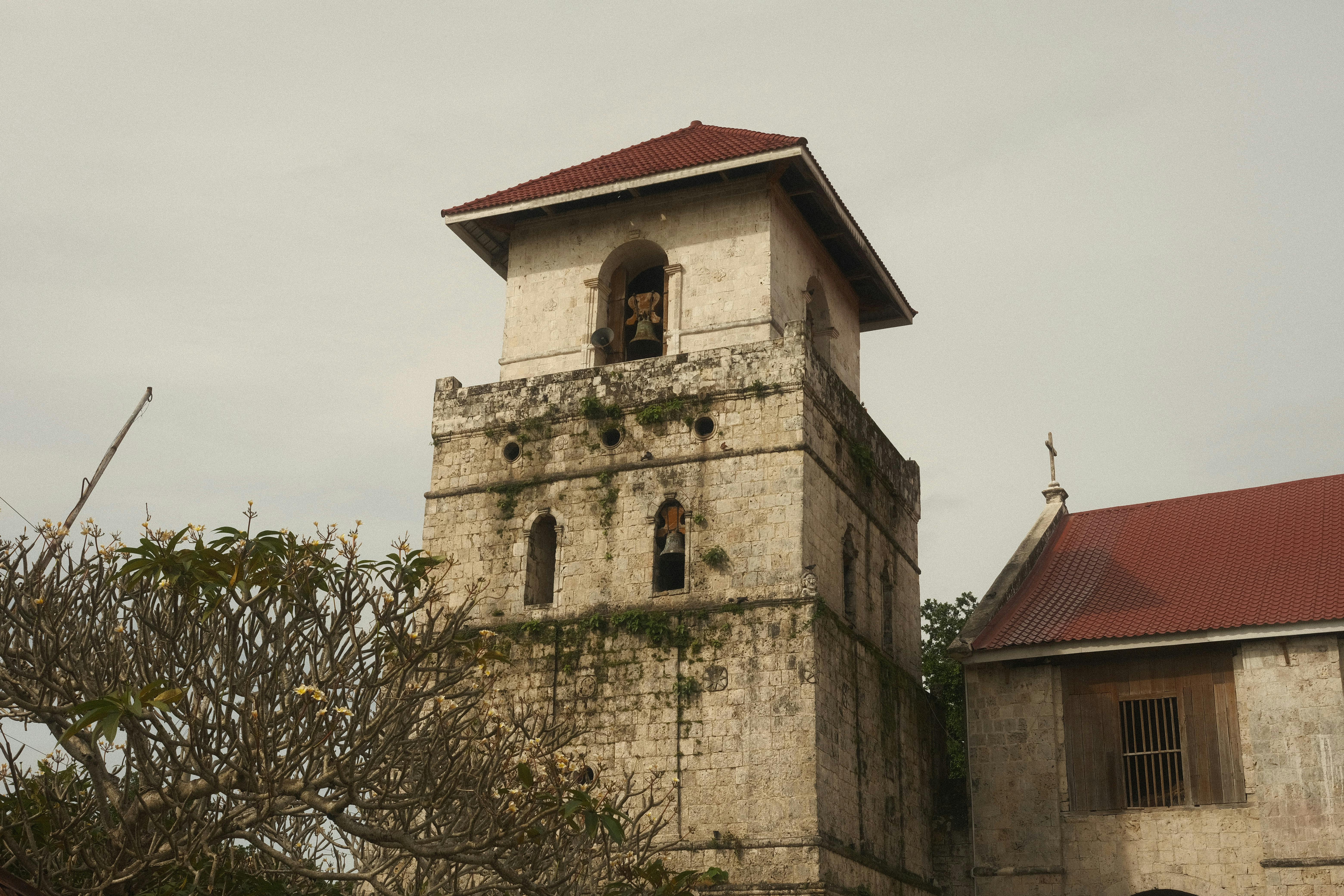 De franc Torre d'església rústica situada enmig d'una vegetació exuberant a Bohol, Filipines, que mostra l'arquitectura colonial espanyola. Foto d'estoc