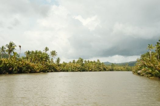 Serene tropical river landscape with lush greenery in Central Visayas, Philippines.