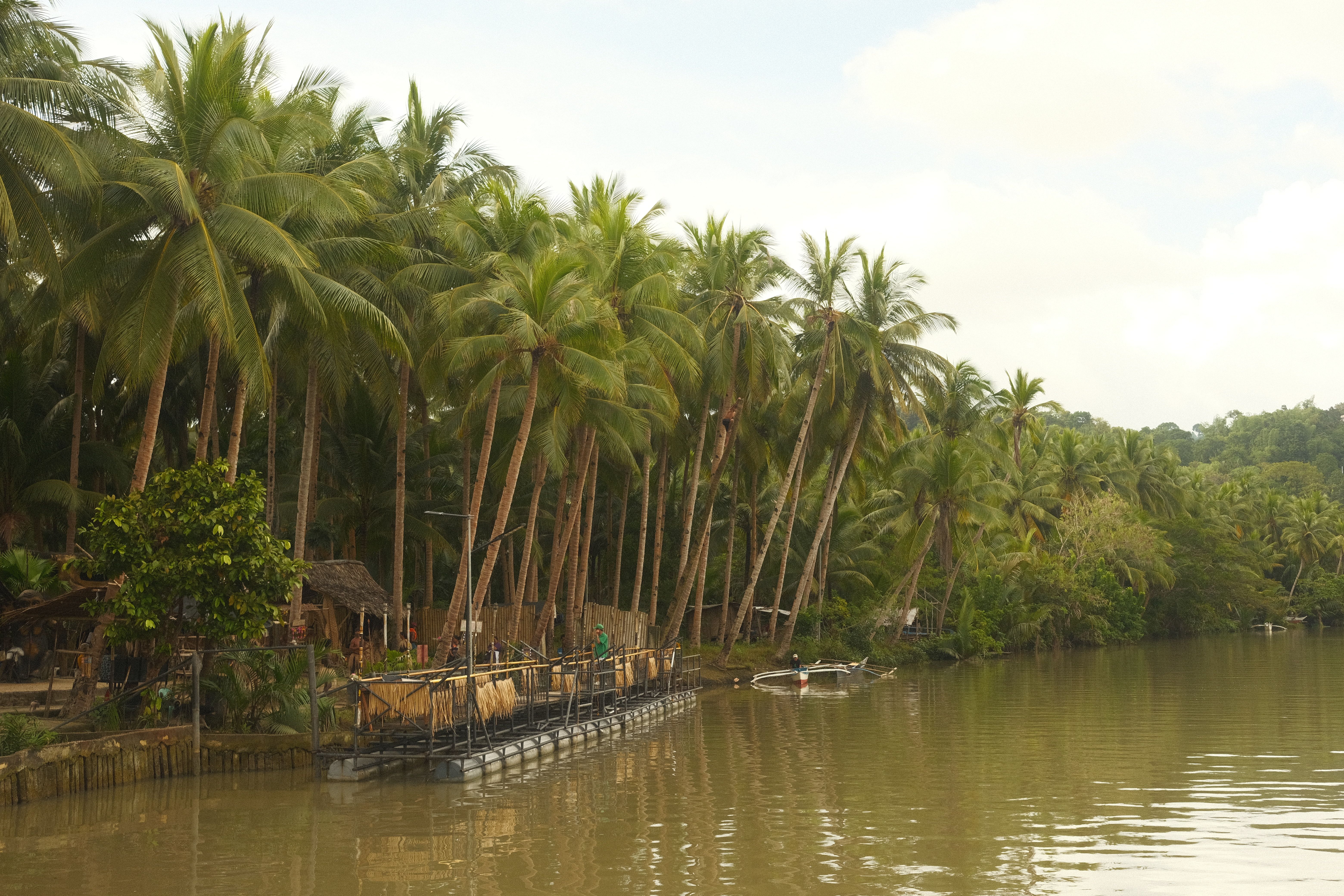 Airport transfers in Bohol