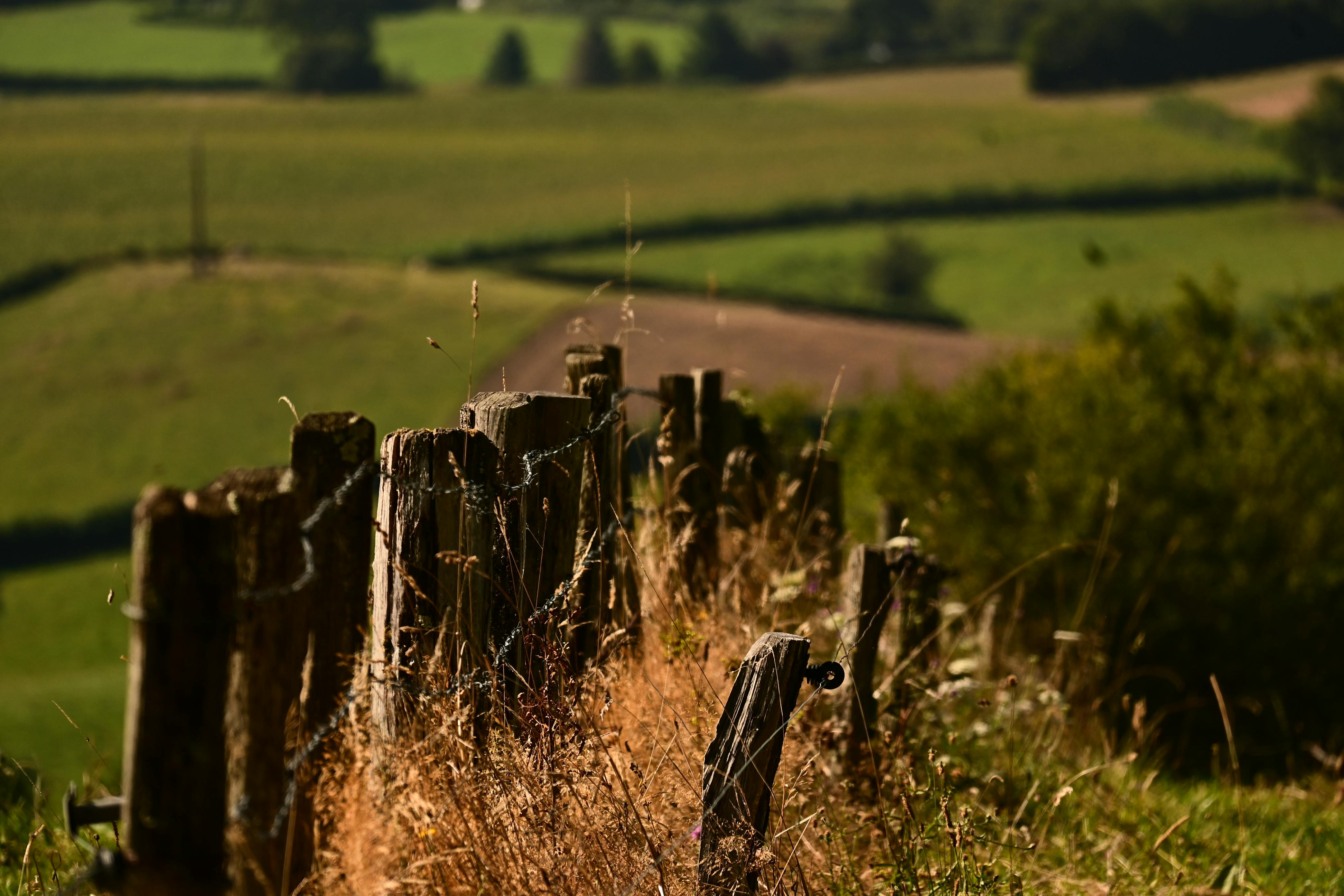 Kostenlos Ein rustikaler Holzzaun inmitten einer üppigen, grünen Landschaft, der die Ruhe der Natur einfängt. Stock-Foto