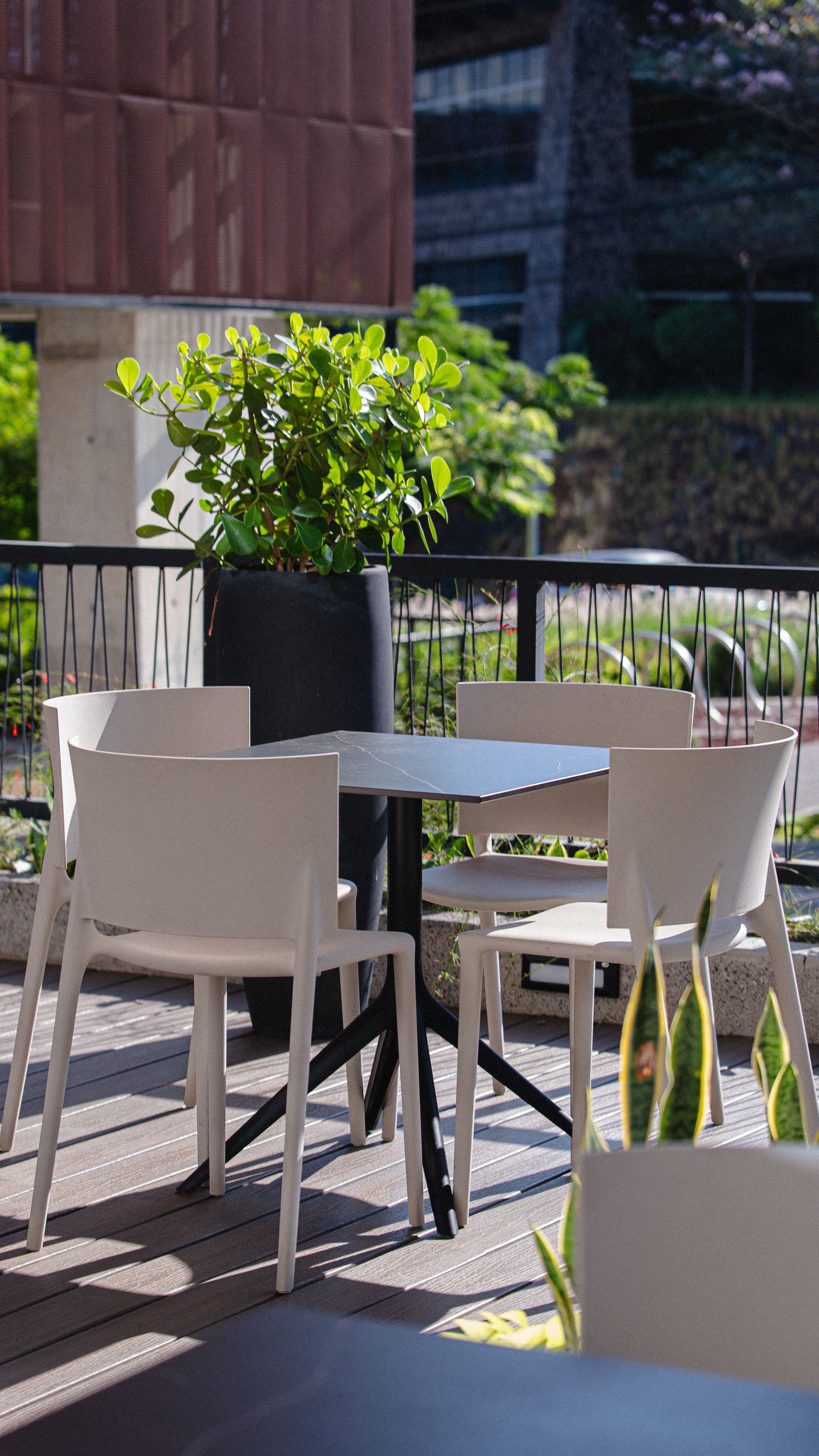 Bright outdoor patio with modern chairs and a potted plant.