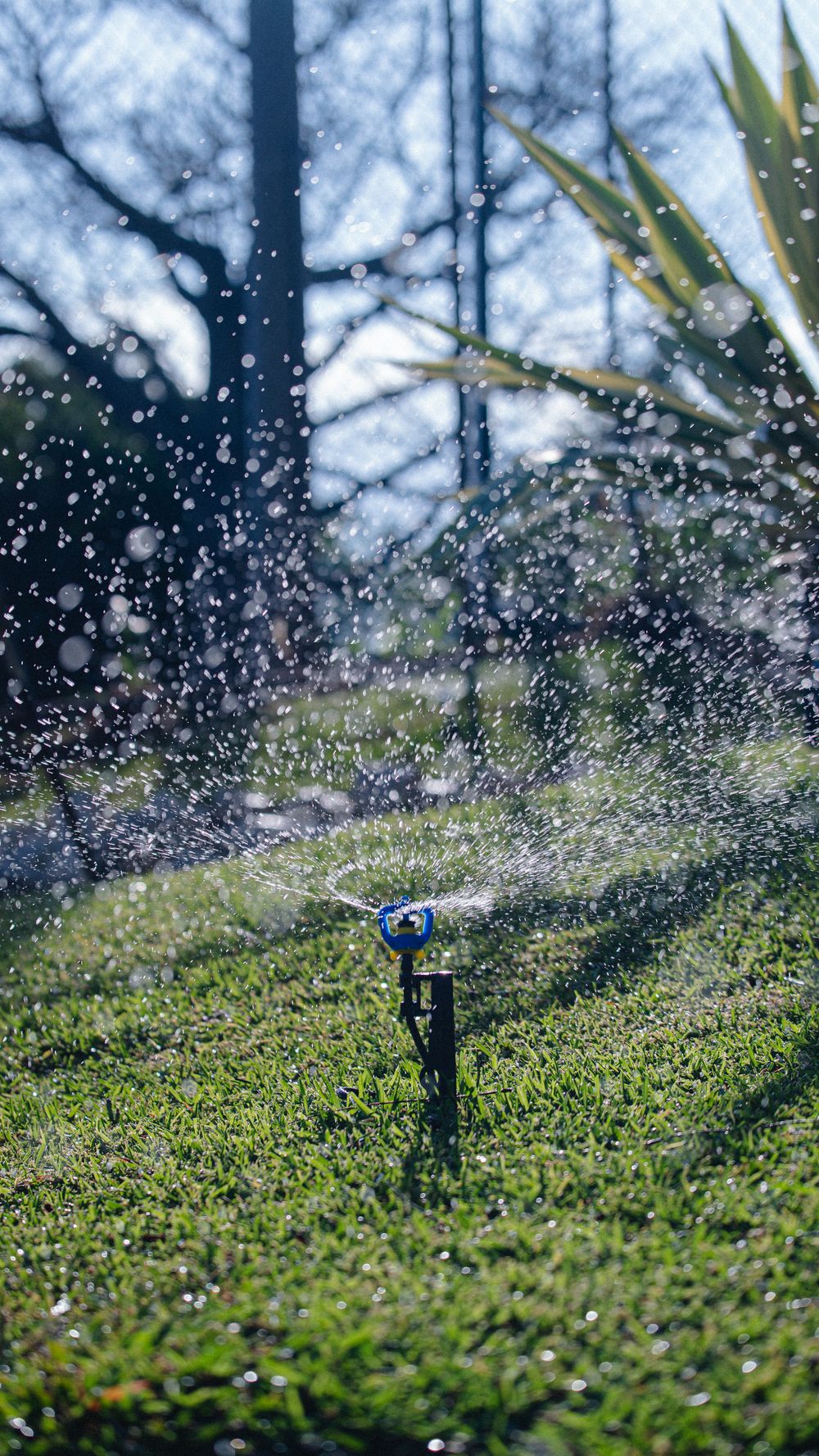Garden sprinkler distributing water over a lush green lawn
