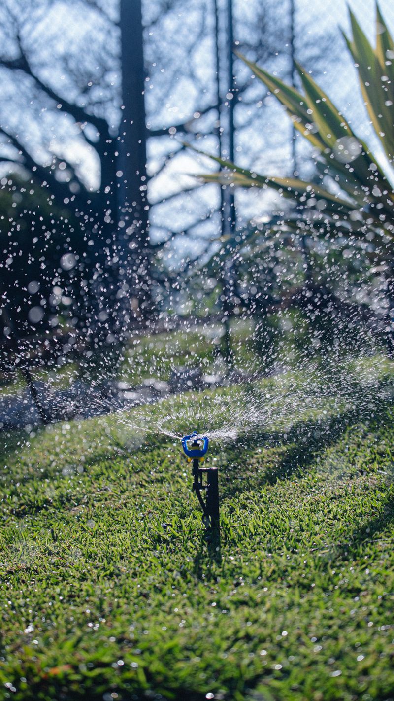 Garden sprinkler watering lush green lawn in Rondebosch