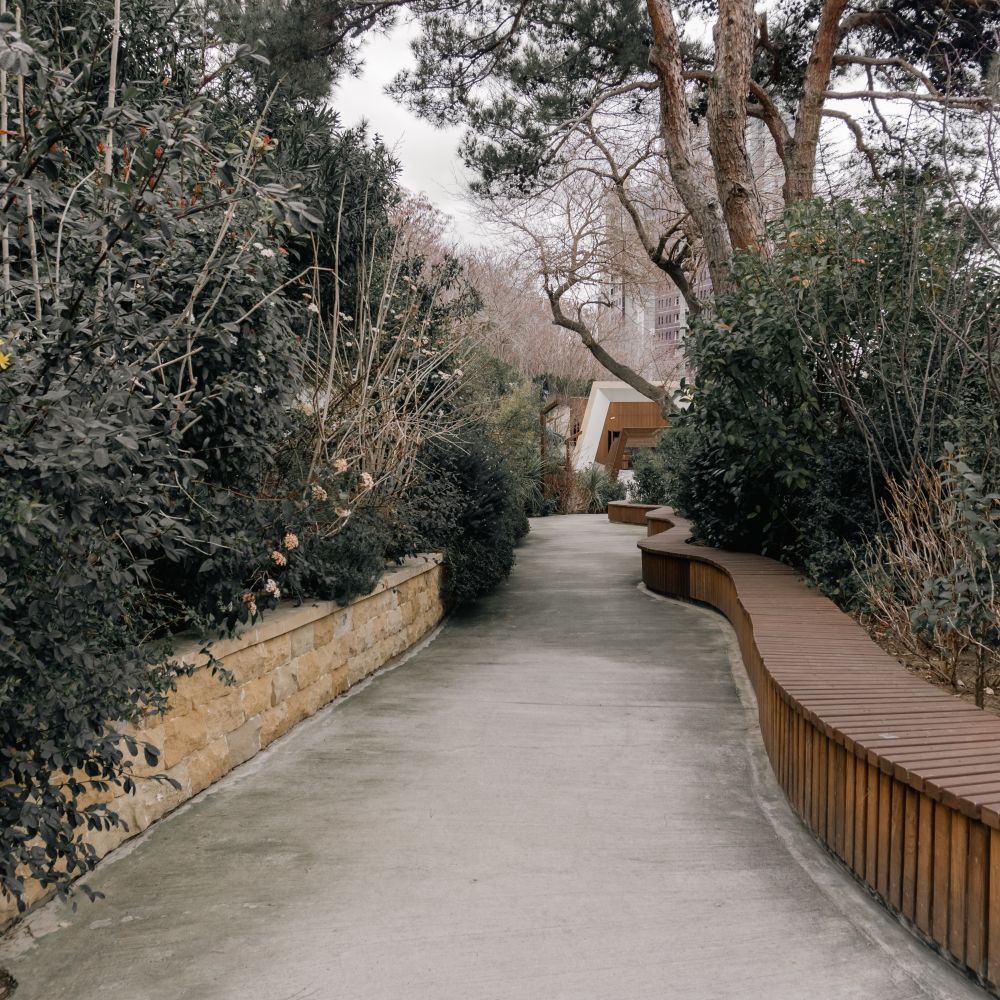Fence and Decking Painting in Temple — walls rolled to an even, flat finish