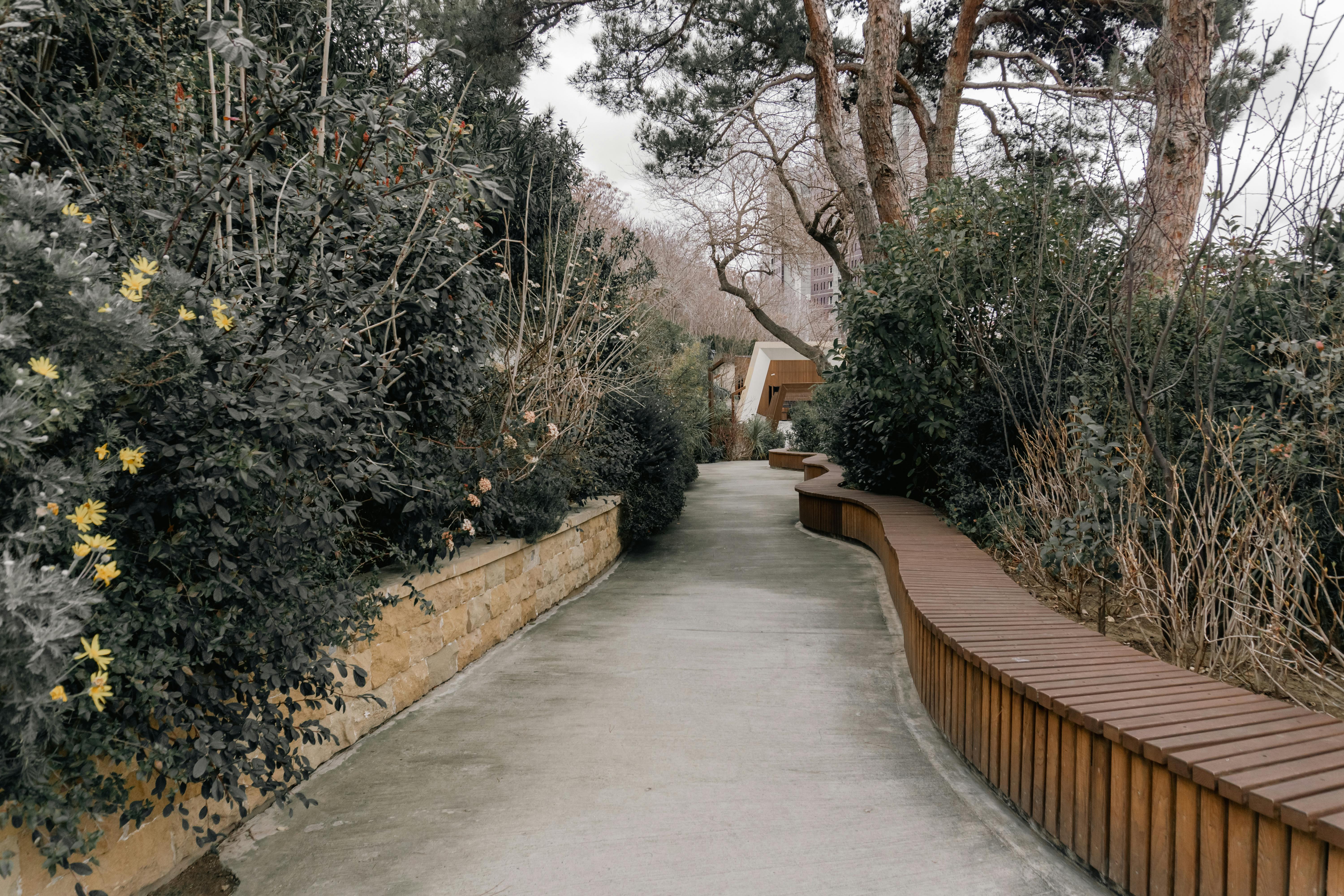 Ücretsiz Bakü'deki bir parkta ağaçlar ve banklarla çevrili sakin bir yol, huzurlu bir açık hava deneyimi sunuyor. Stok Fotoğraflar