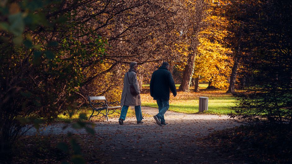 A senior couple enjoys a peaceful walk through a tree-lined path in an autumn park.