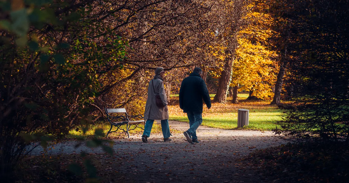 An older couple walking together through a park in autumn