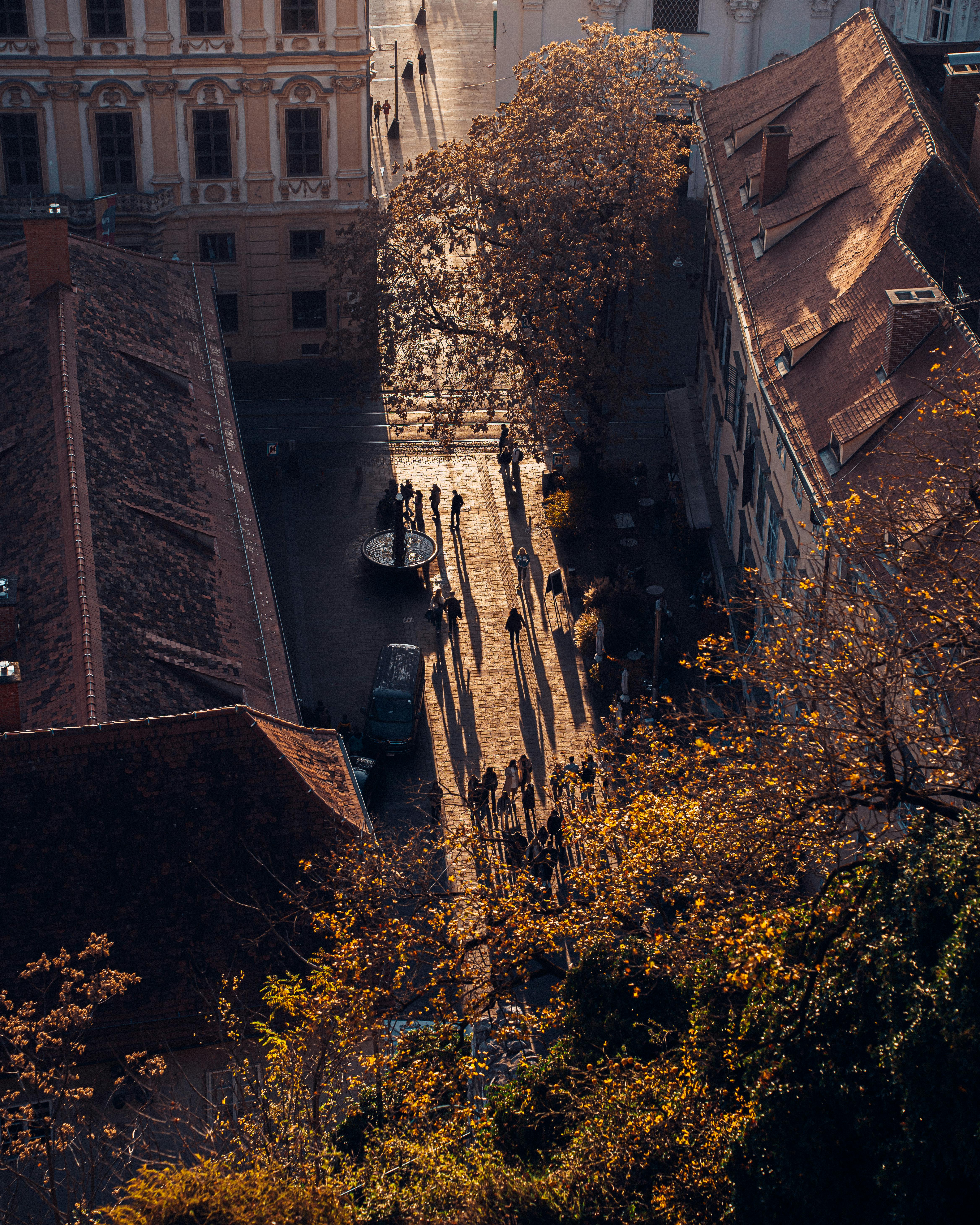 Ücretsiz açık hava, ağaçlarla çevrili cadde, Avrupa içeren Ücretsiz stok fotoğraf Stok Fotoğraflar