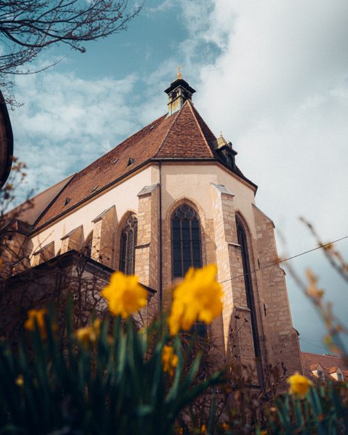 Free Gothic-style church with daffodils in bloom, reflecting early spring ambiance. Stock Photo