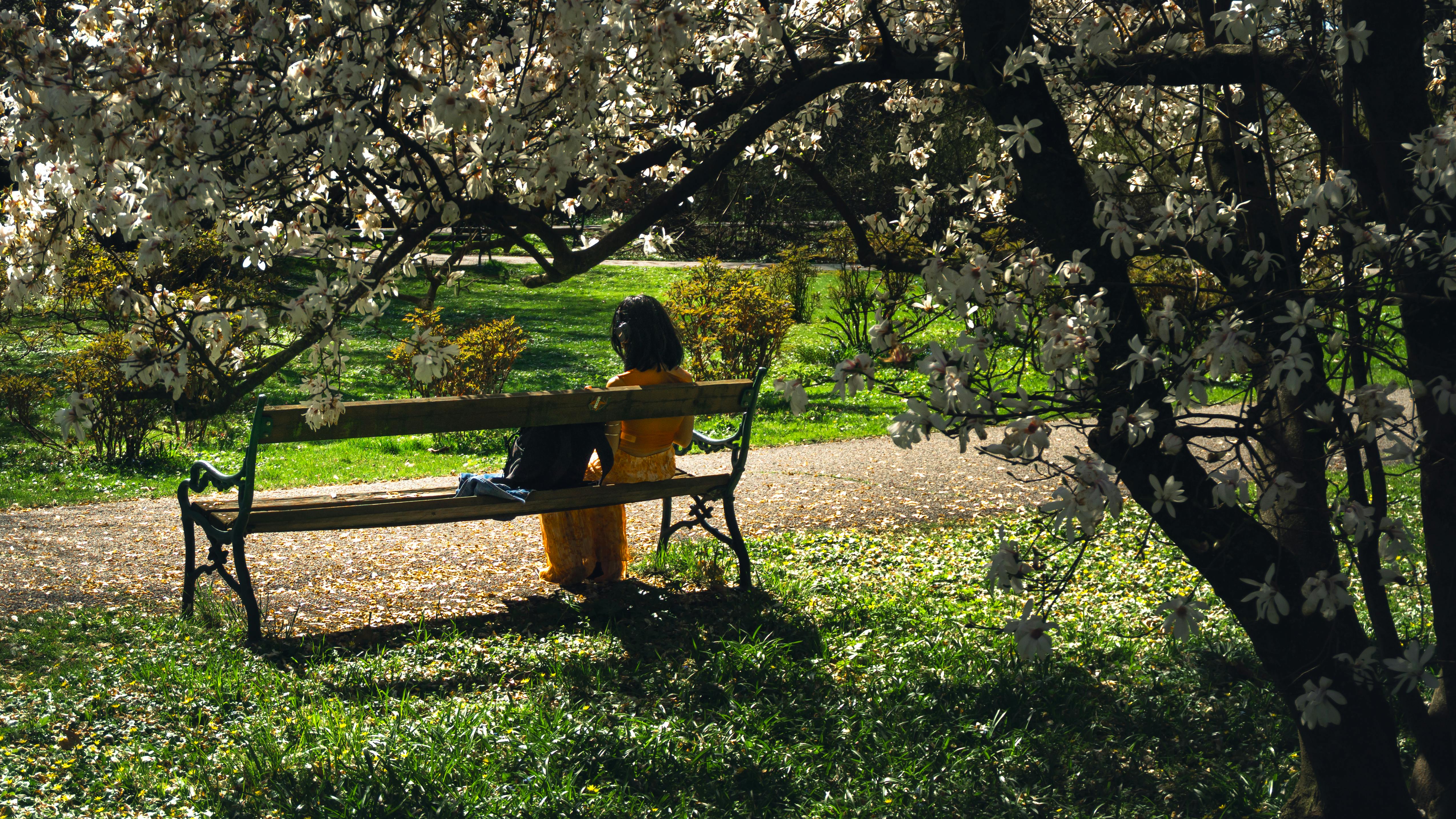 Gratis En kvinde i en solrig park sidder på en bænk, omgivet af blomstrende blomster og levende grønne områder. Lagerfoto