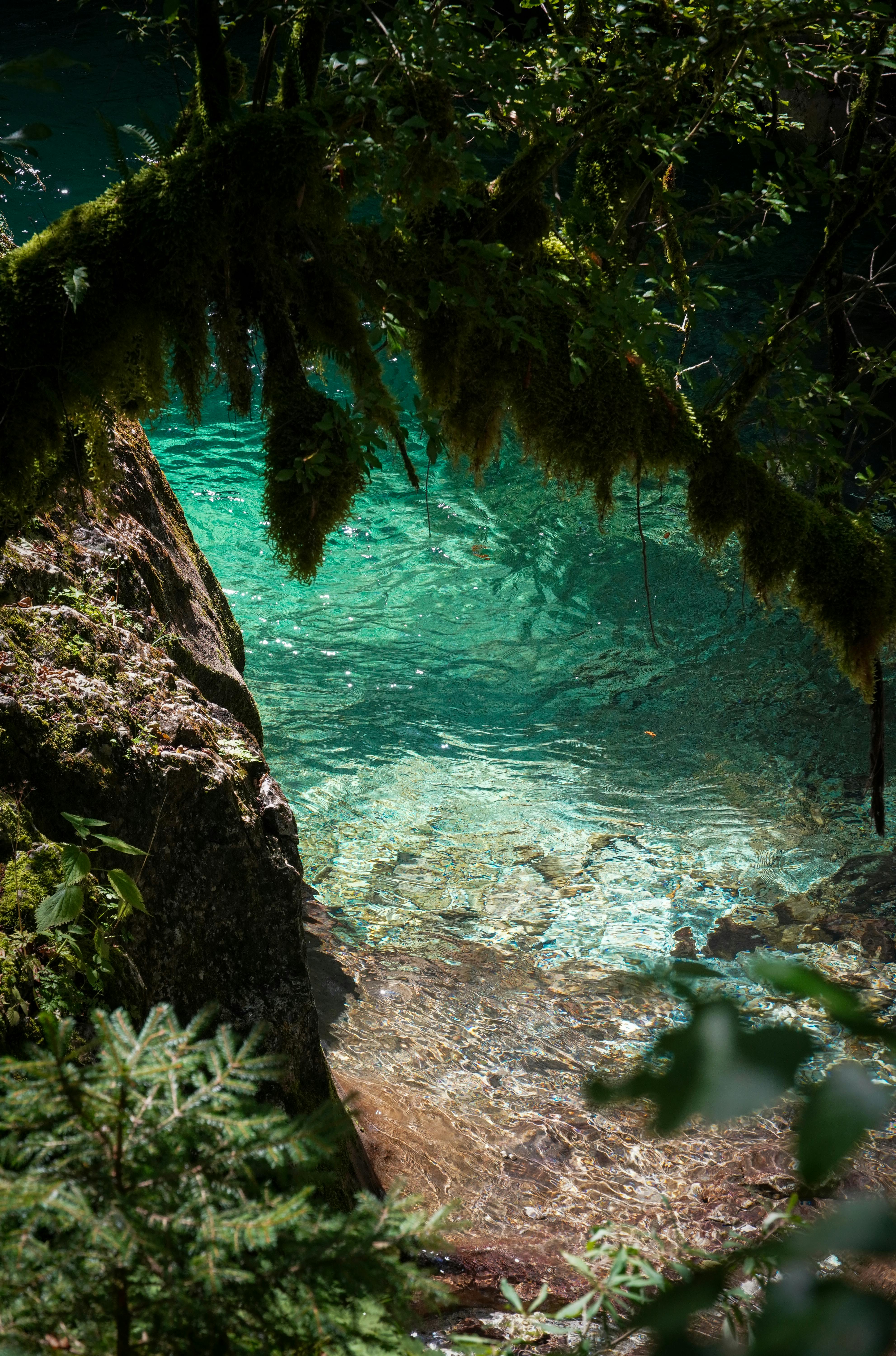 Bezpłatne Piękny basen słodkowodny w wąwozie Tolmin w Słowenii, o żywych turkusowych odcieniach, otoczony bujną zielenią. Zdjęcie z galerii