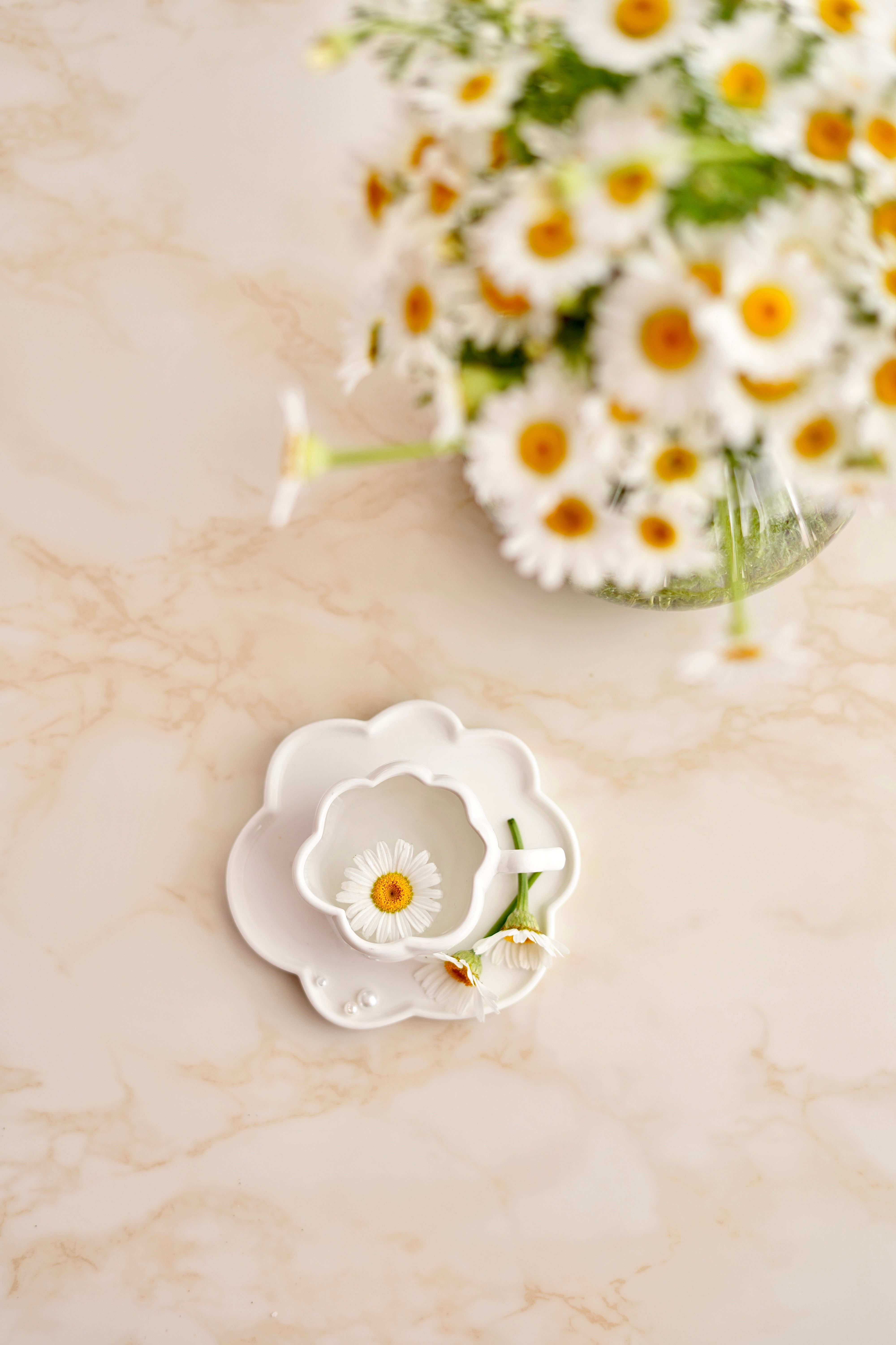 A stylish arrangement of daisies in a white plate with a soft focus background creating an aesthetic spring feel.