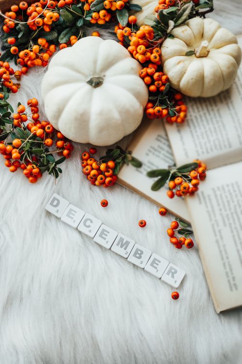 Free Winter-themed flat lay featuring white pumpkins, orange berries, and books on a fuzzy white surface. Stock Photo