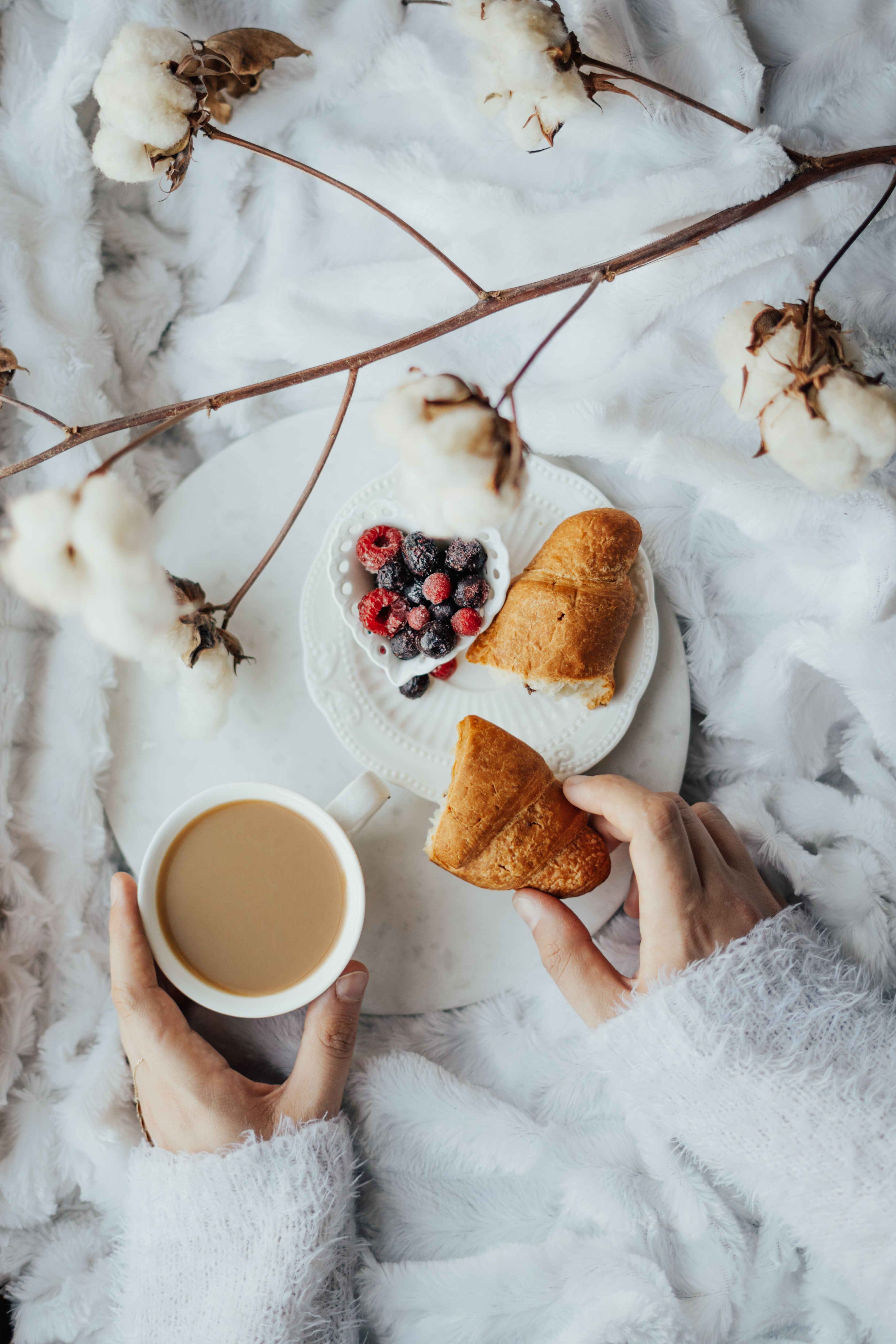 Top view of a cozy breakfast setup with croissants, berries, and coffee surrounded by cotton branches.