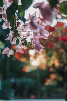 在春天的阳光下，粉红色的花朵被特写，背景是梦幻般的散景