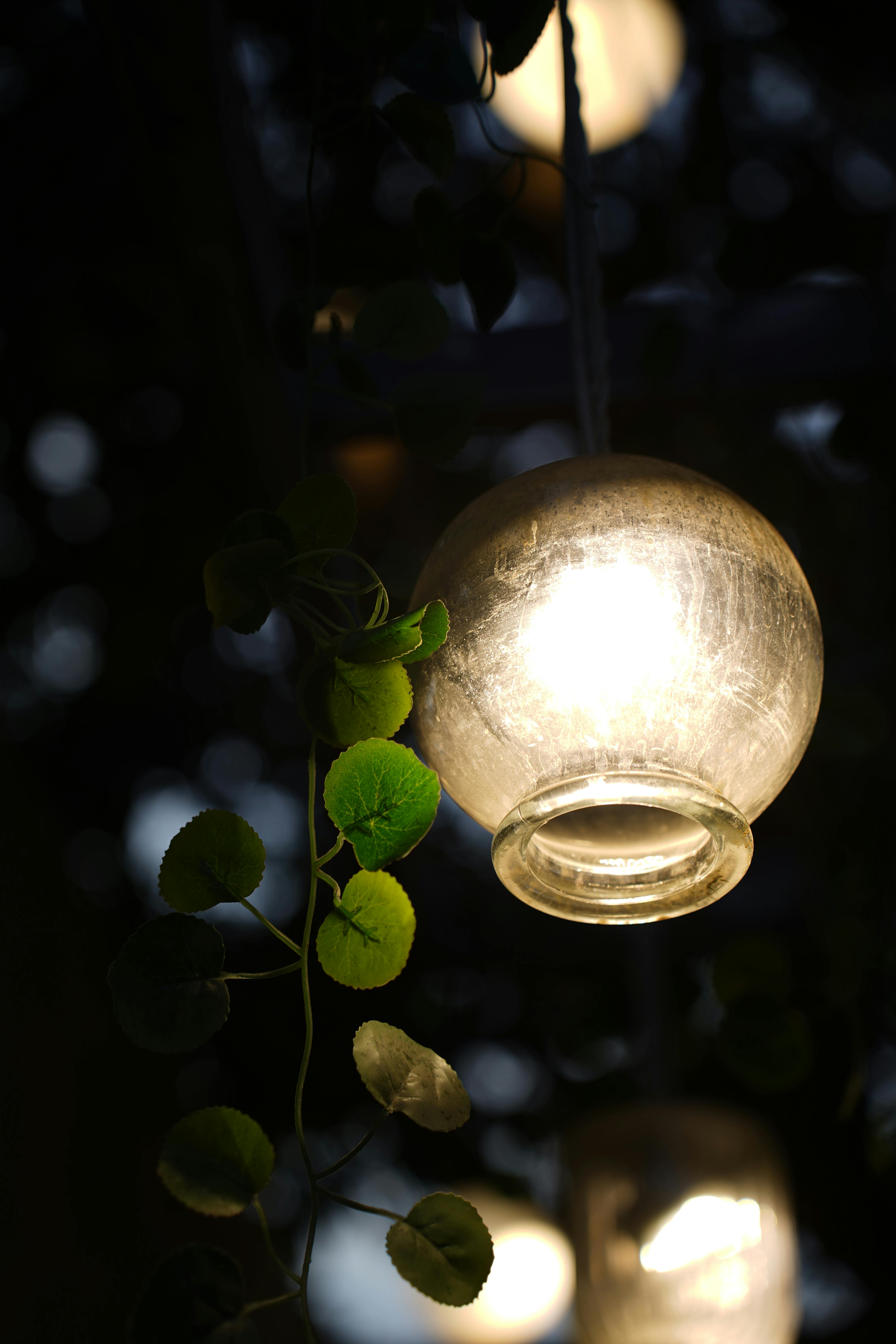 Gratuit Prim-plan al unei lămpi globulare strălucitoare împletite cu frunze verzi pe un fundal întunecat și neclar. Fotografie de stoc