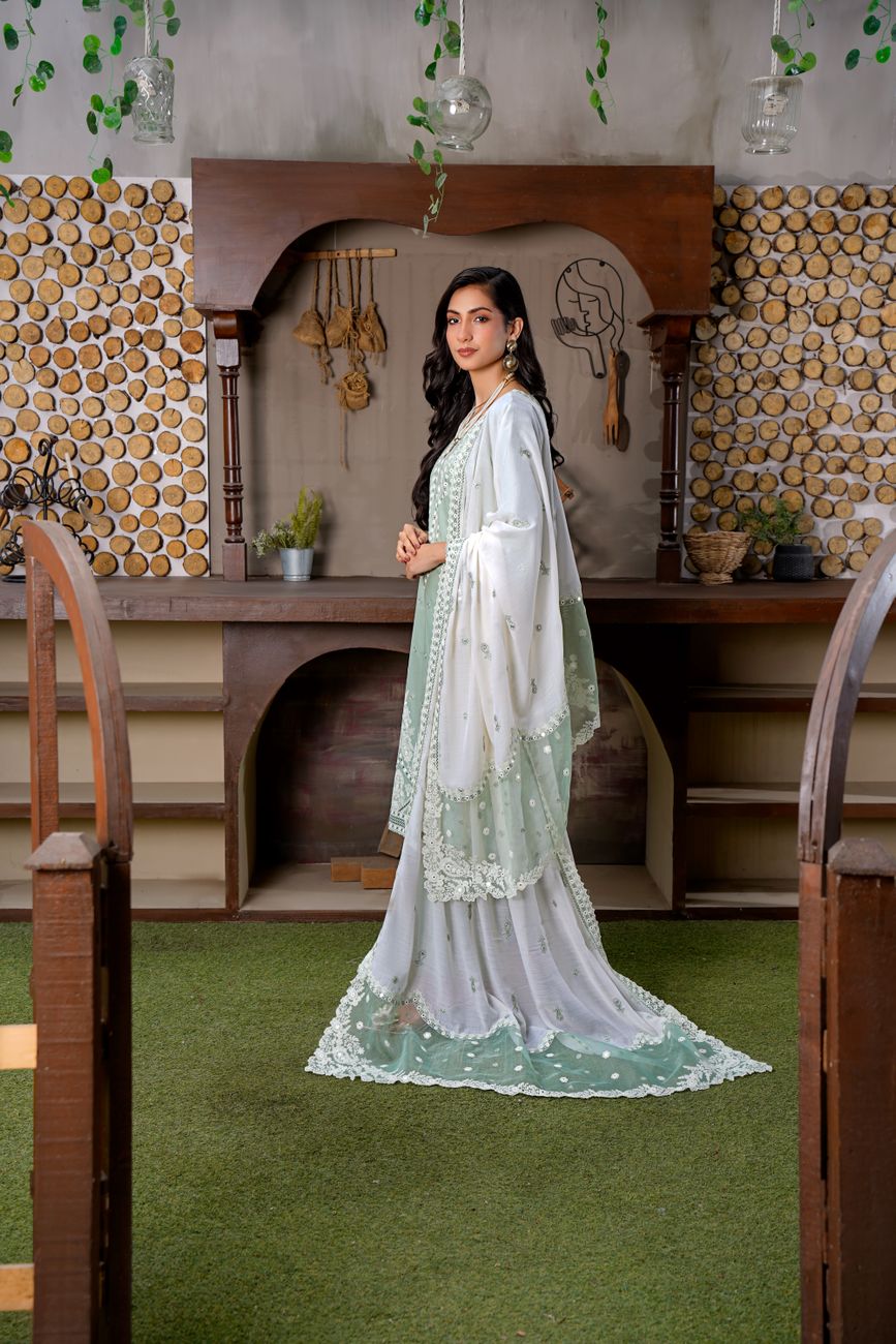 Stylish Embroidered Dress