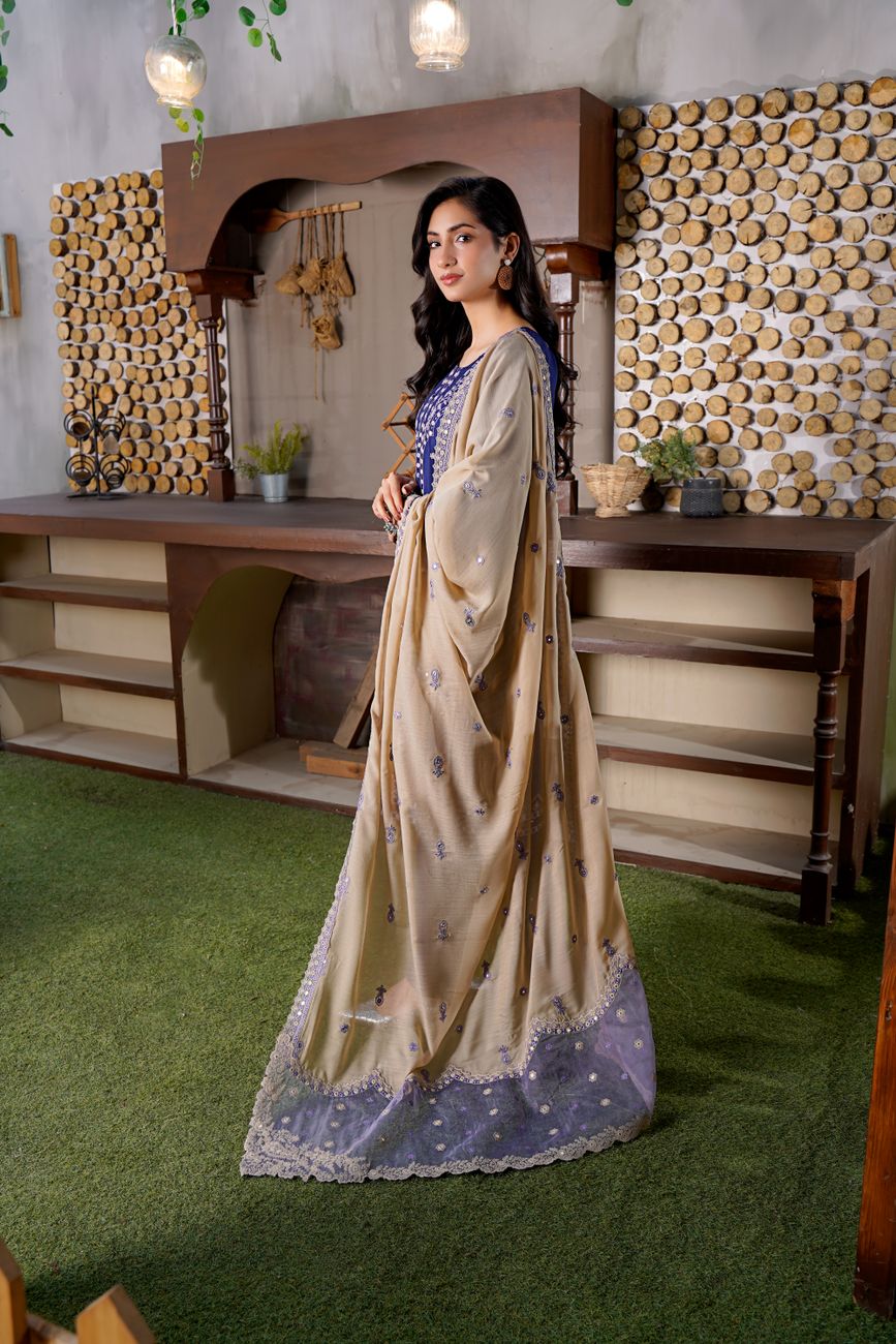 Stylish Traditional Embellished Dress