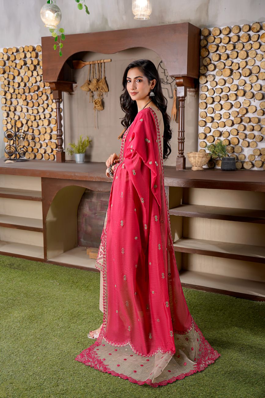Stylish Elegant Eastern Dress Tastefully Decorated