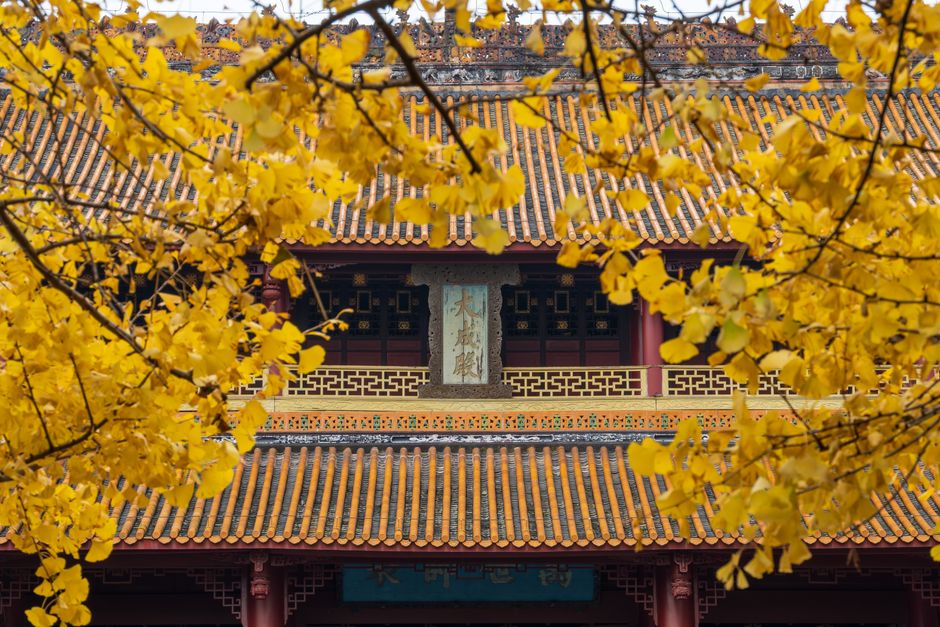 A historic Chinese temple framed by vibrant yellow leaves, showcasing seasonal beauty and traditional architecture.
