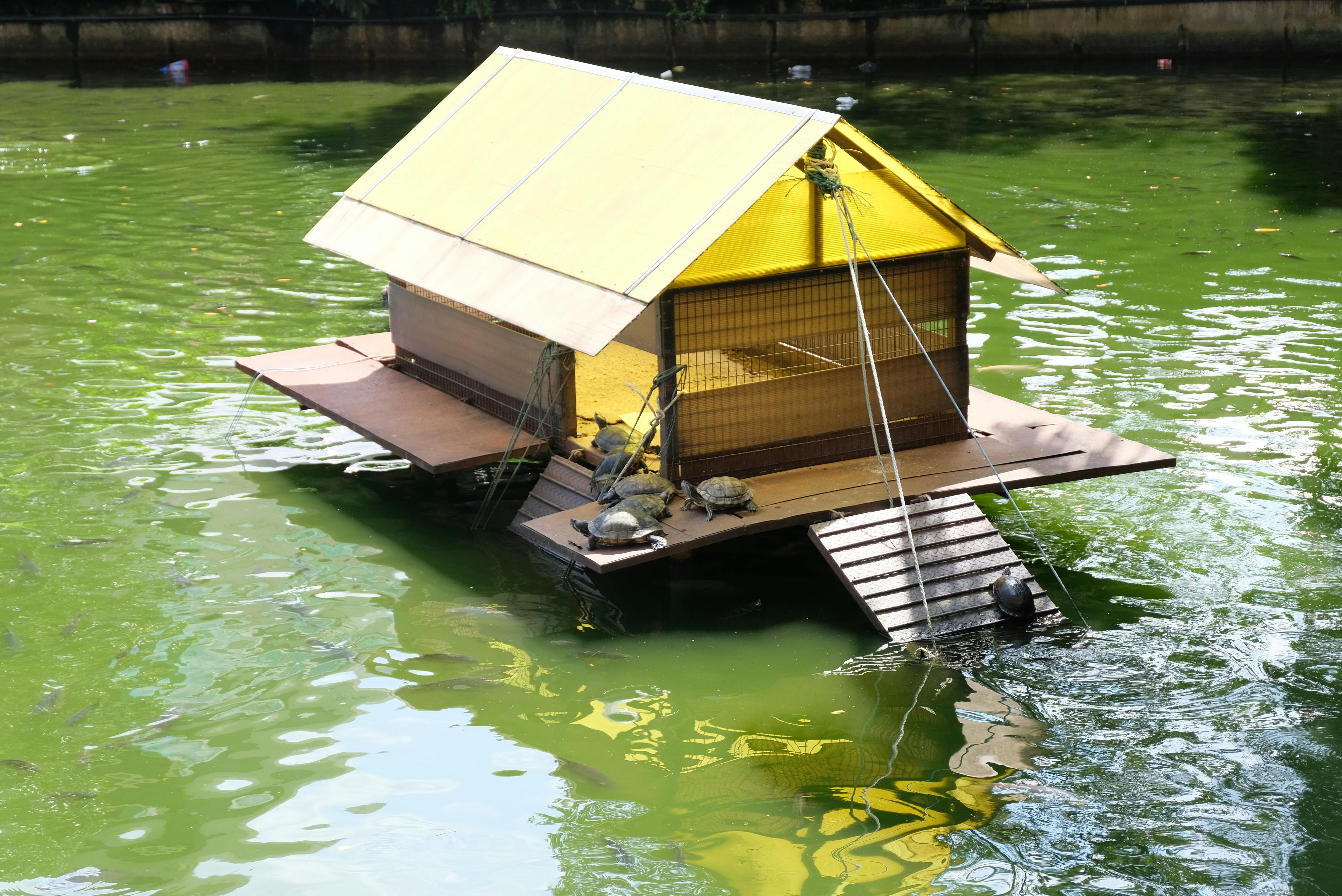 Декоративные подушки с разными принтами