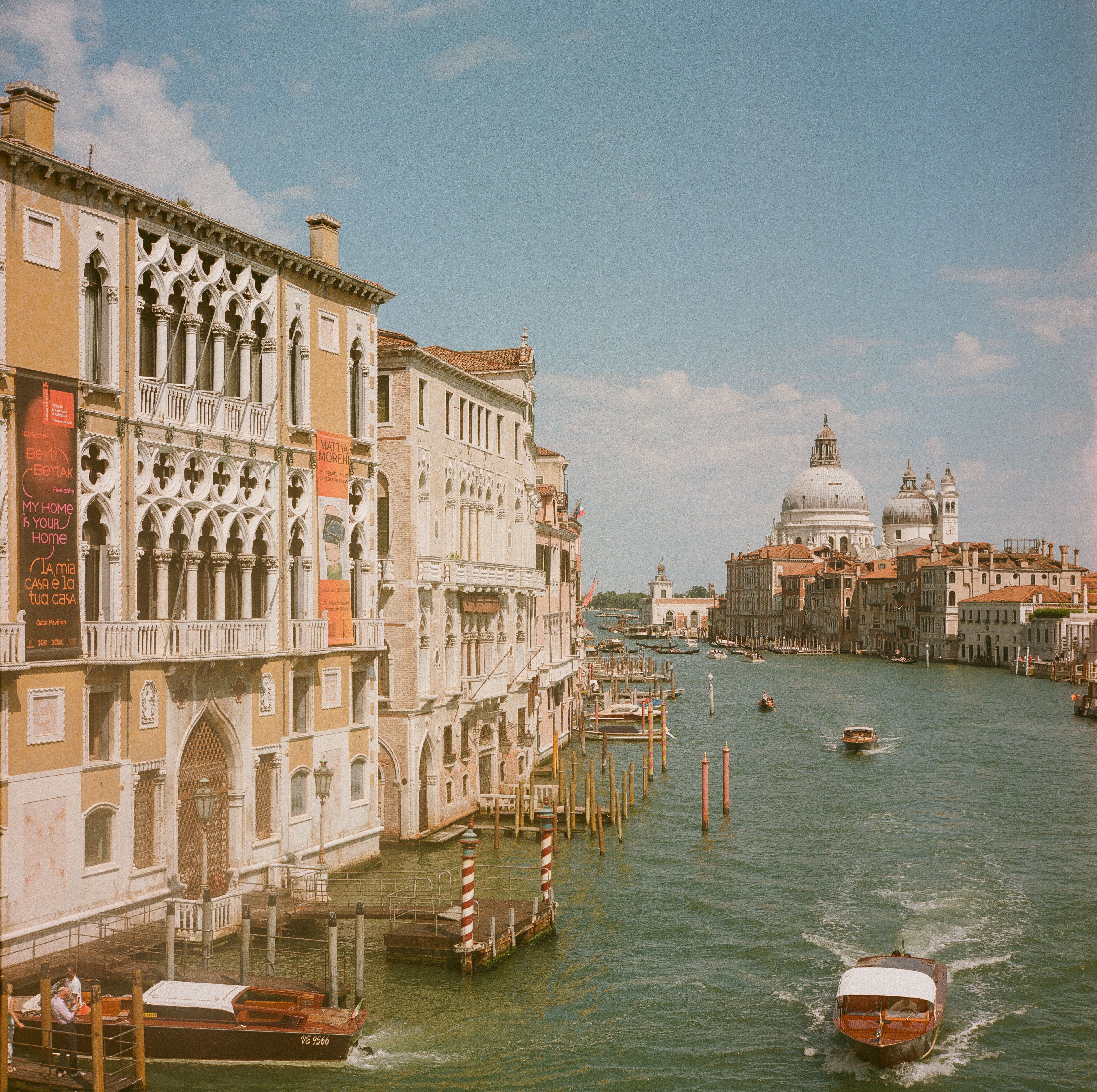 venice film festival