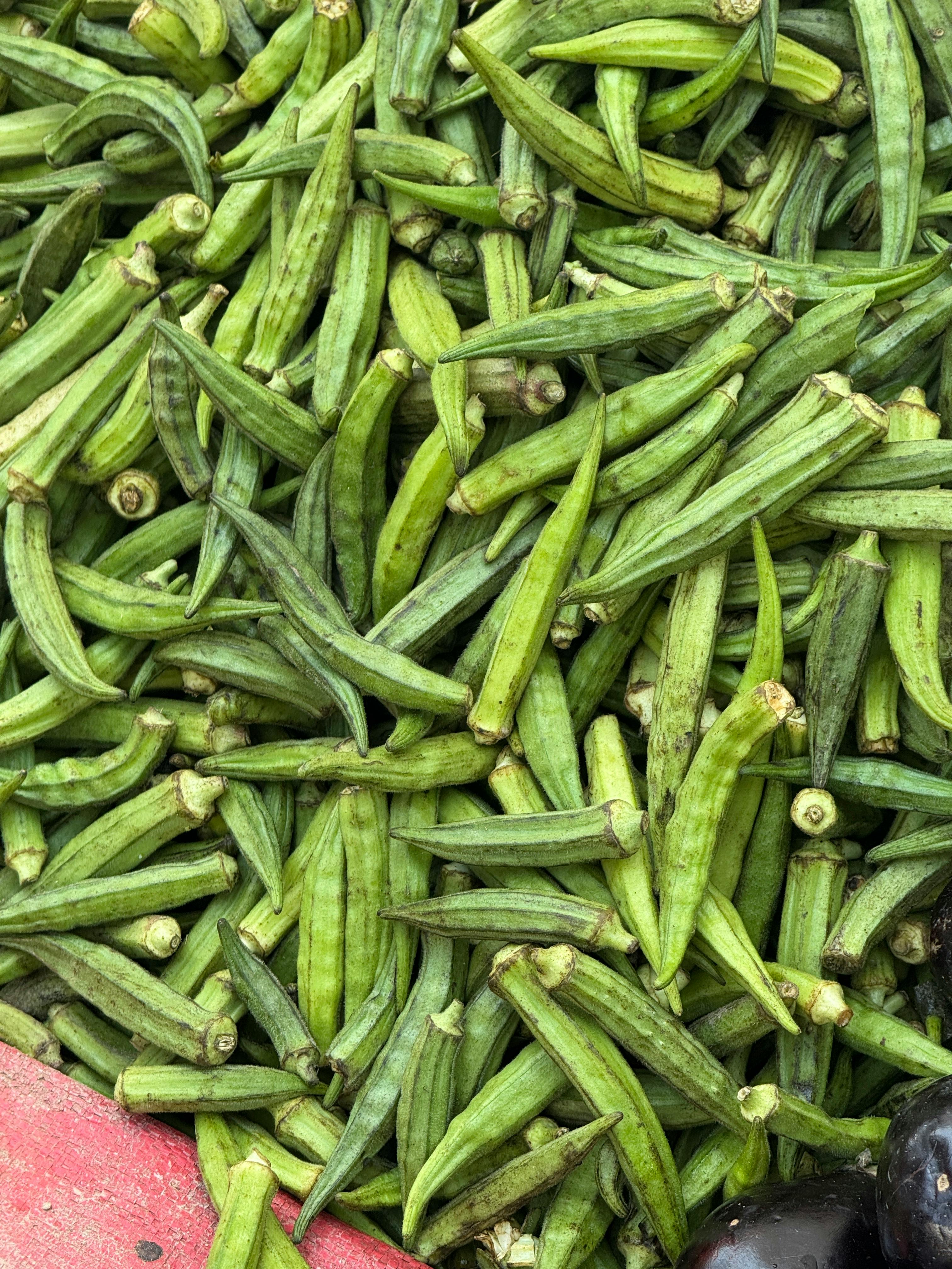 Fresh Okra - Urban Goes Green Plant Guide