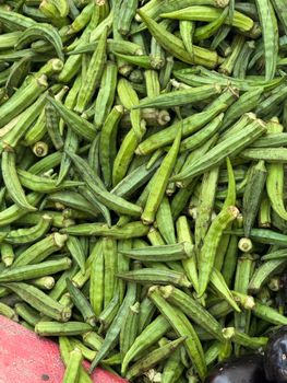 Okra — Bamya