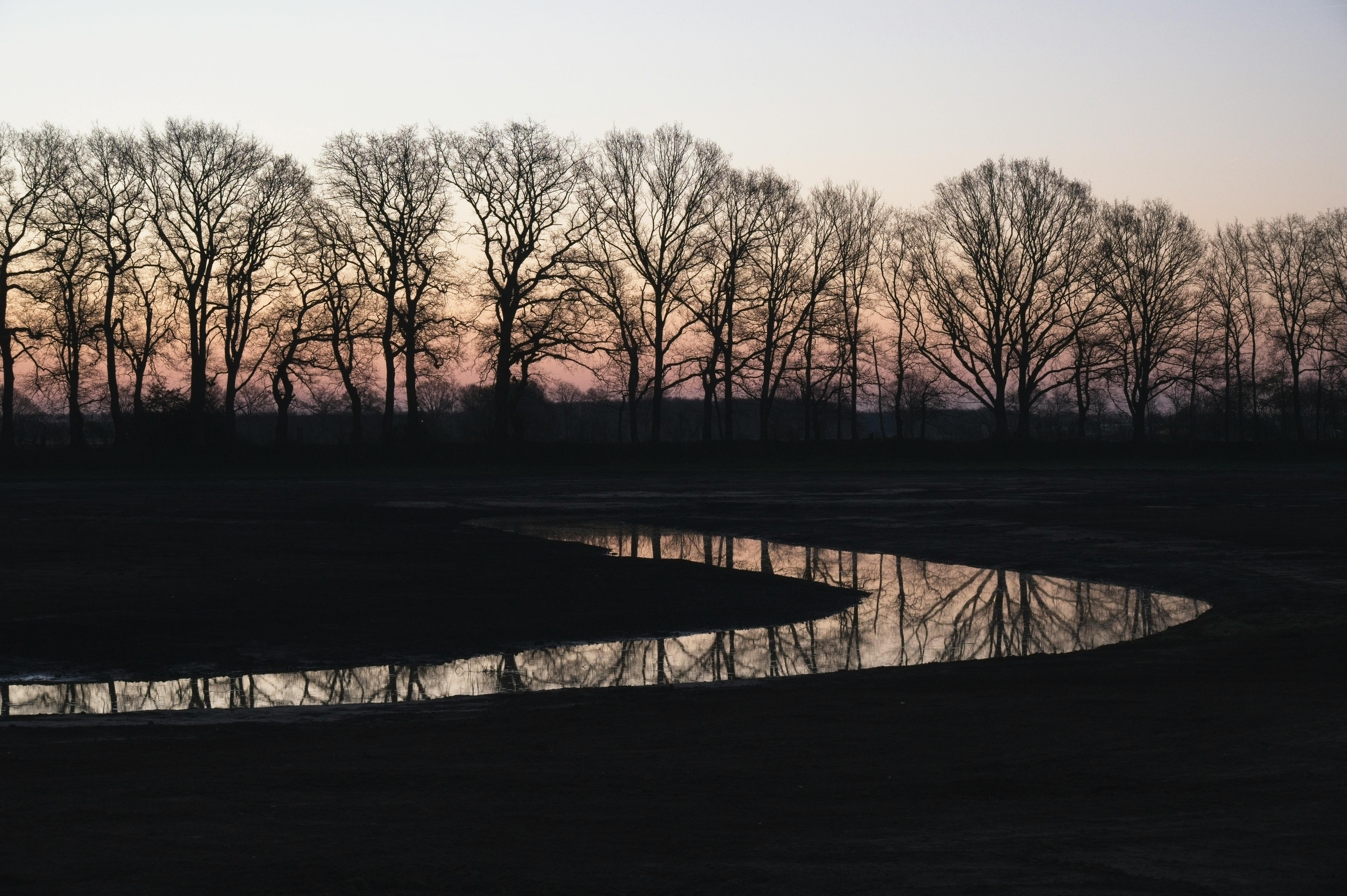Gratuit Scène paisible d'arbres dénudés se reflétant sur l'eau au coucher du soleil dans la Drenthe. Photos