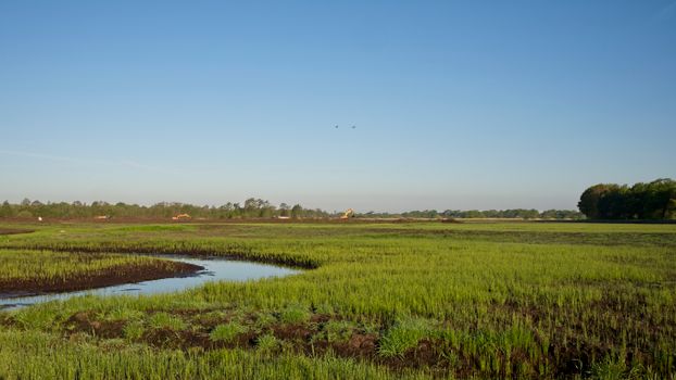 Scenic view of nature reclamation in Drenthe, Netherlands with clear blue sky.