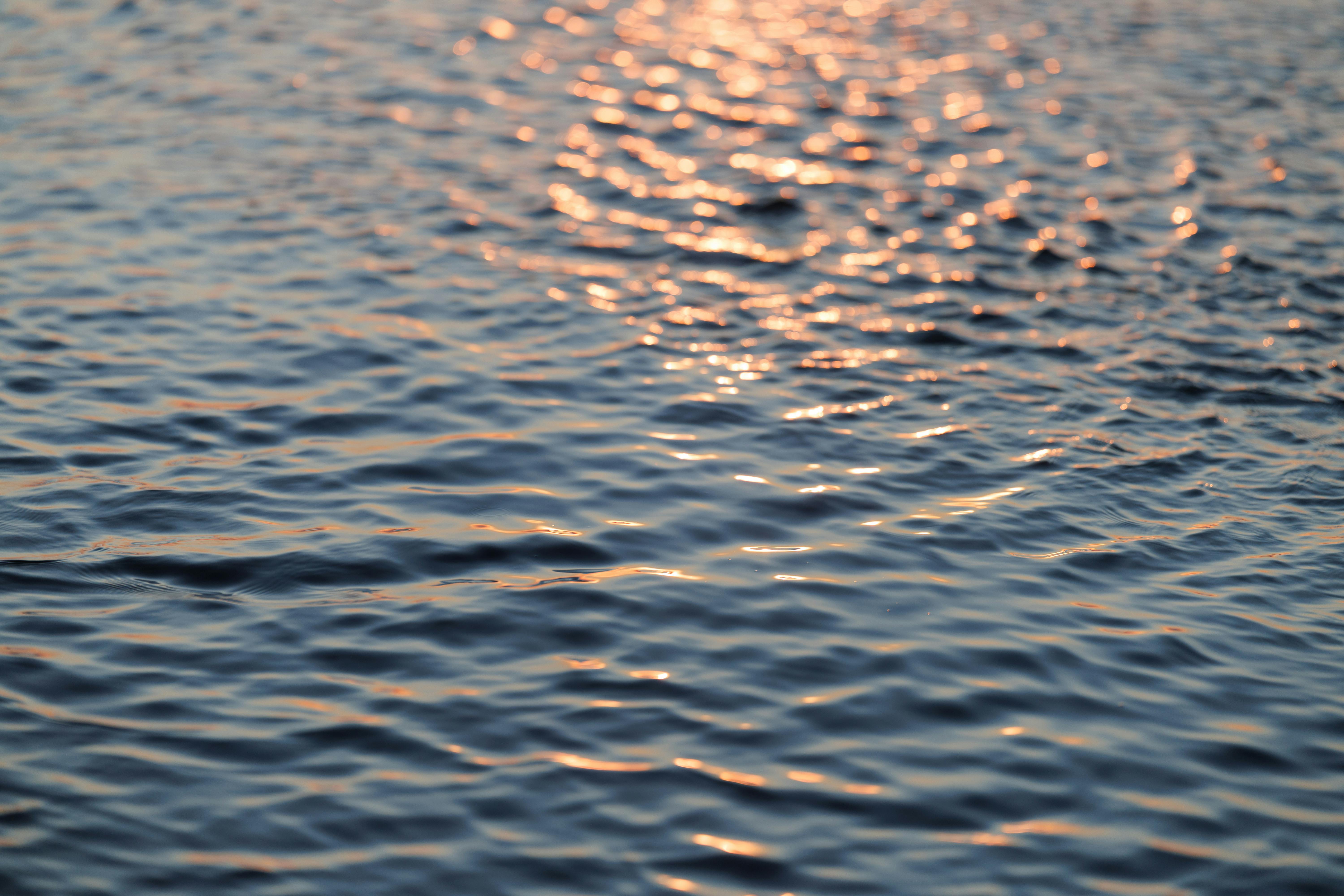 無料 ロシアのカリーニングラードで、穏やかな水面に黄金色の夕焼けが映り込み、さざ波が立っている。 写真素材